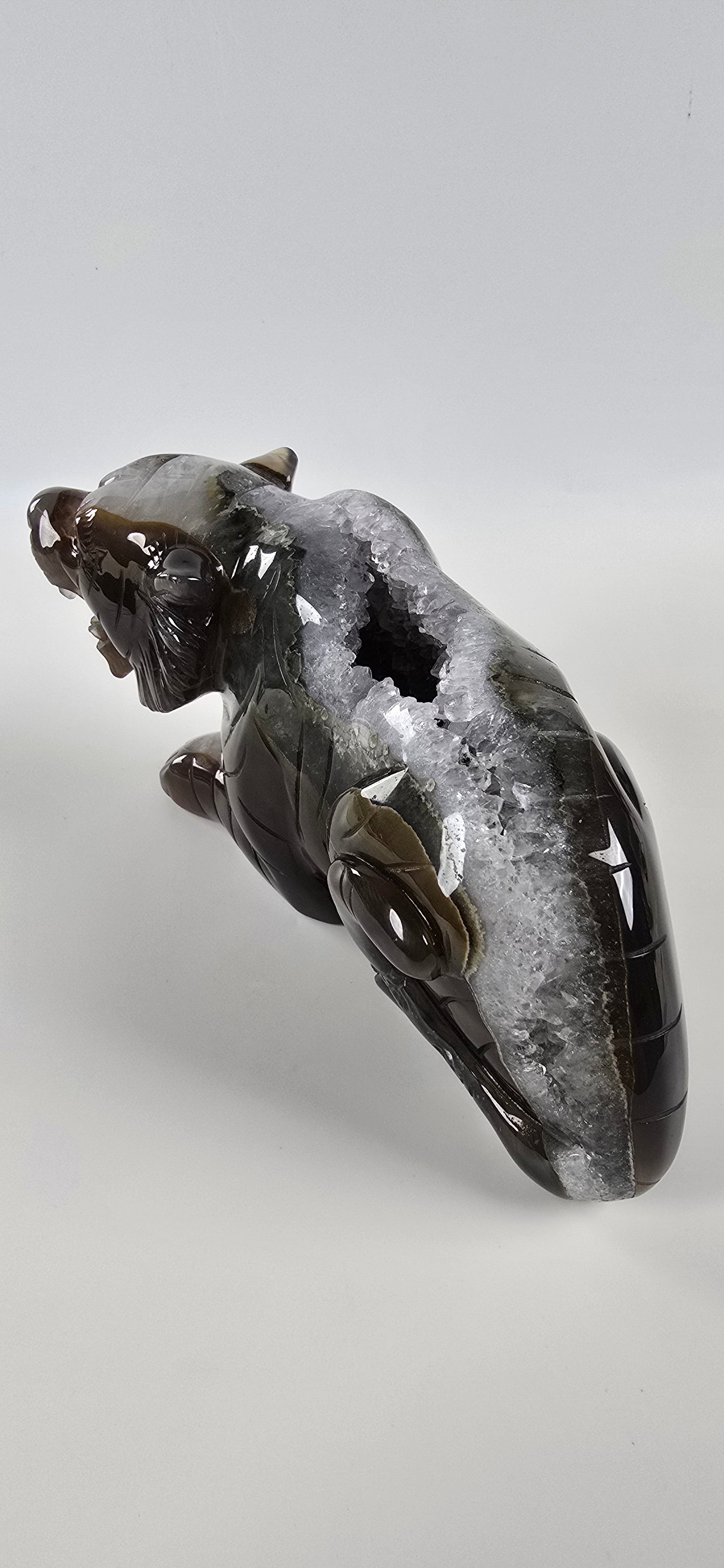 XXL Achat Tiger 1 - High Quality