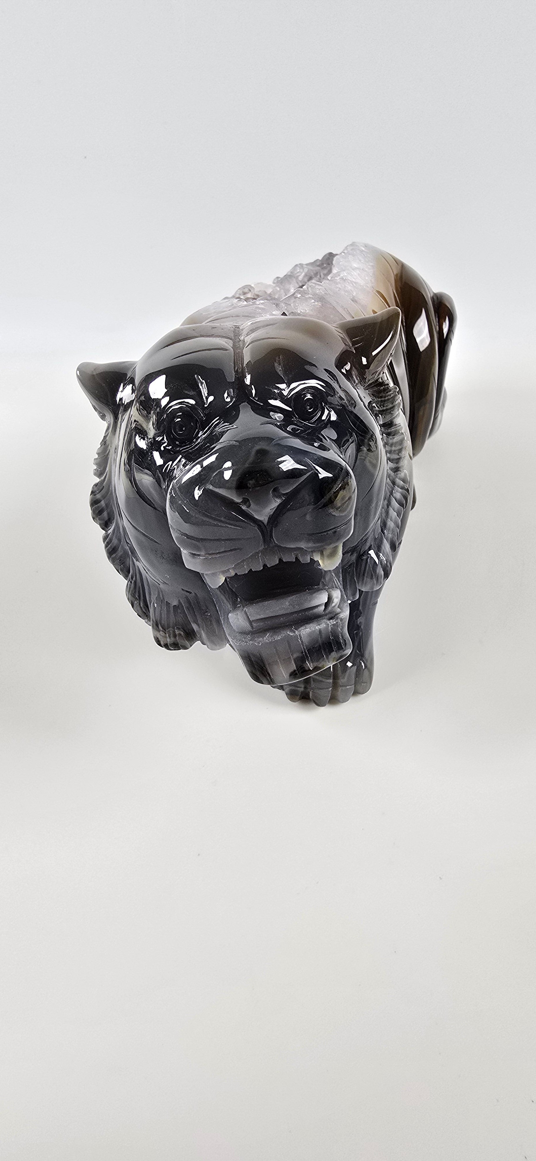 XXL Achat Tiger - High Quality