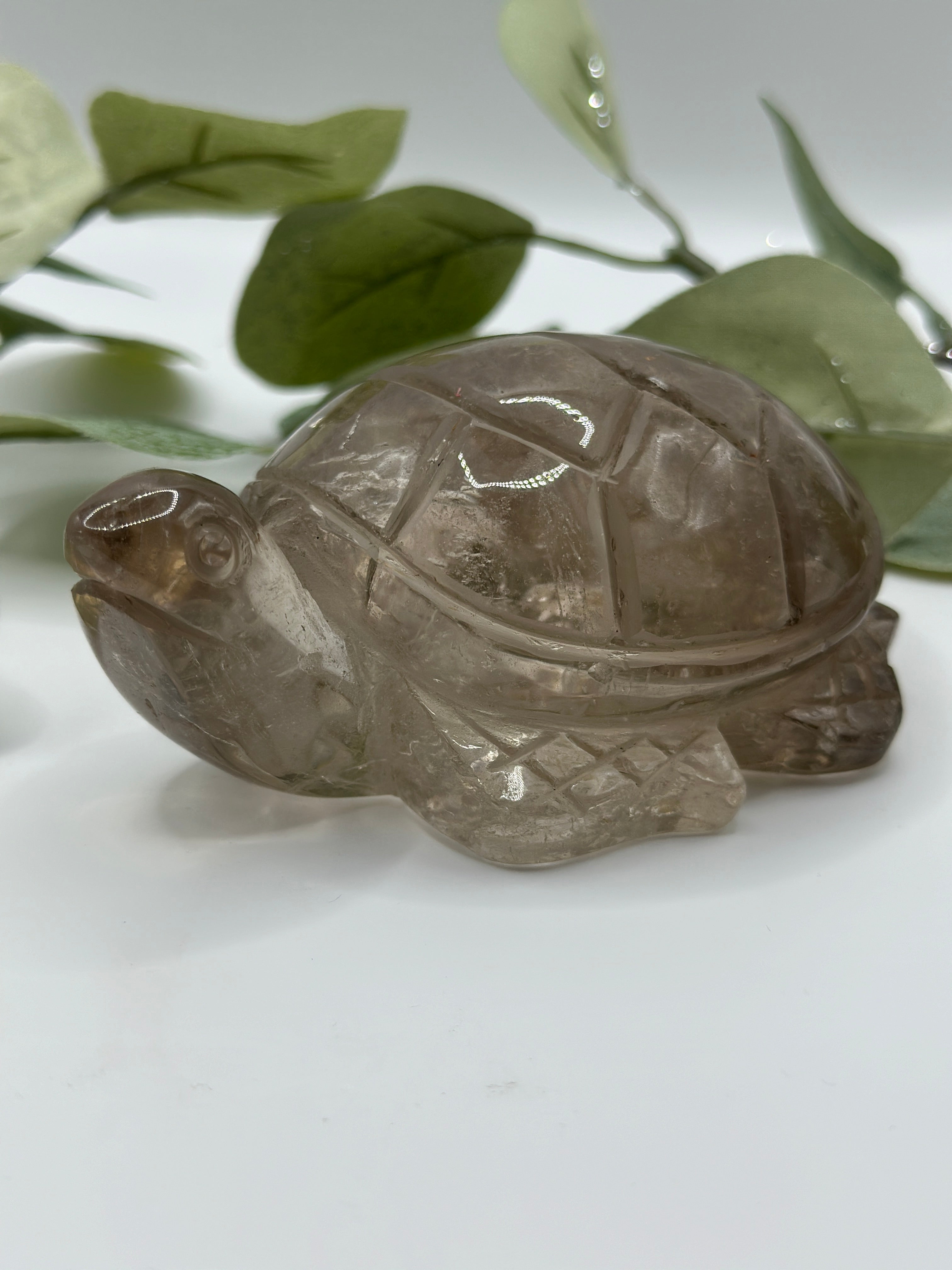 XXL Rauchquarz Schildkröte