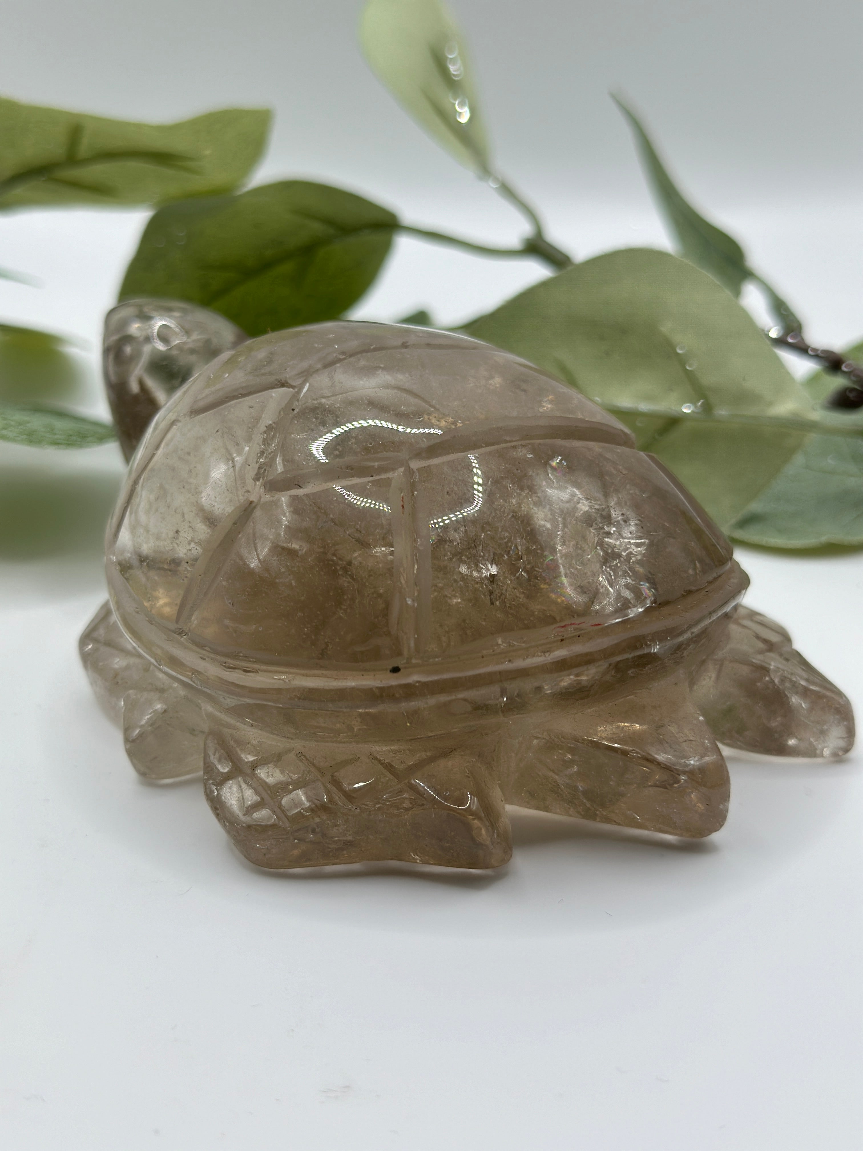 XXL Rauchquarz Schildkröte