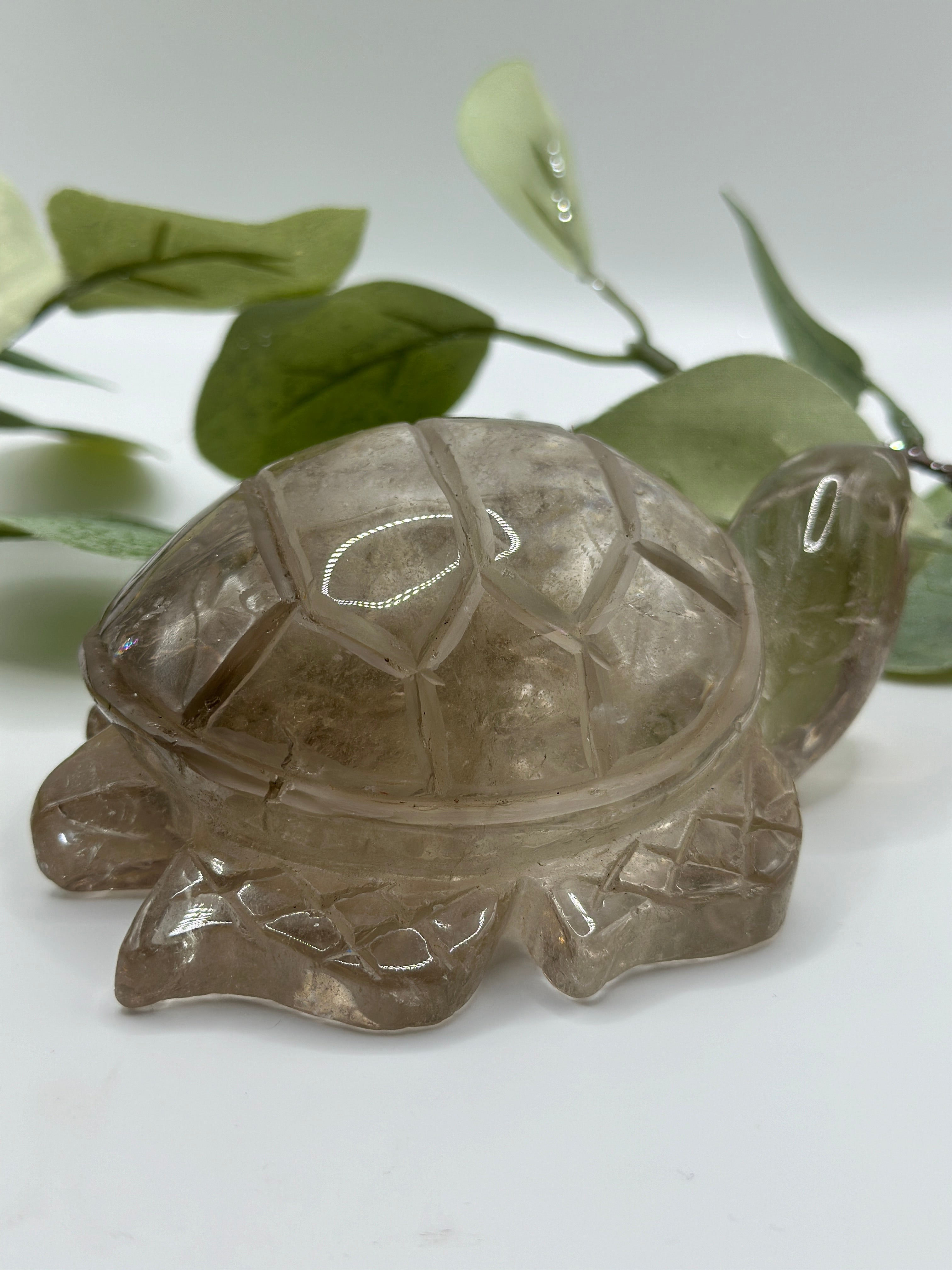 XXL Rauchquarz Schildkröte