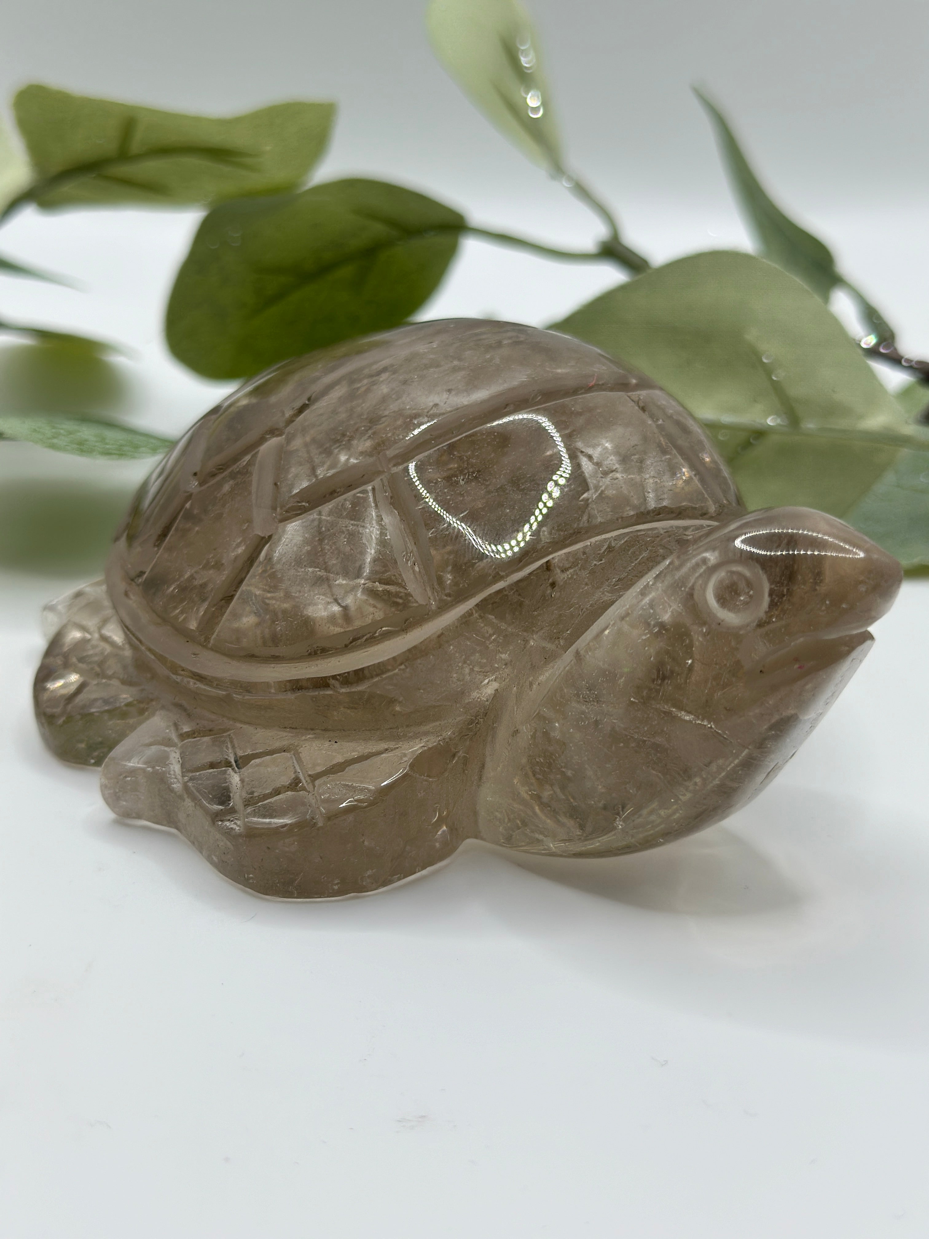 XXL Rauchquarz Schildkröte