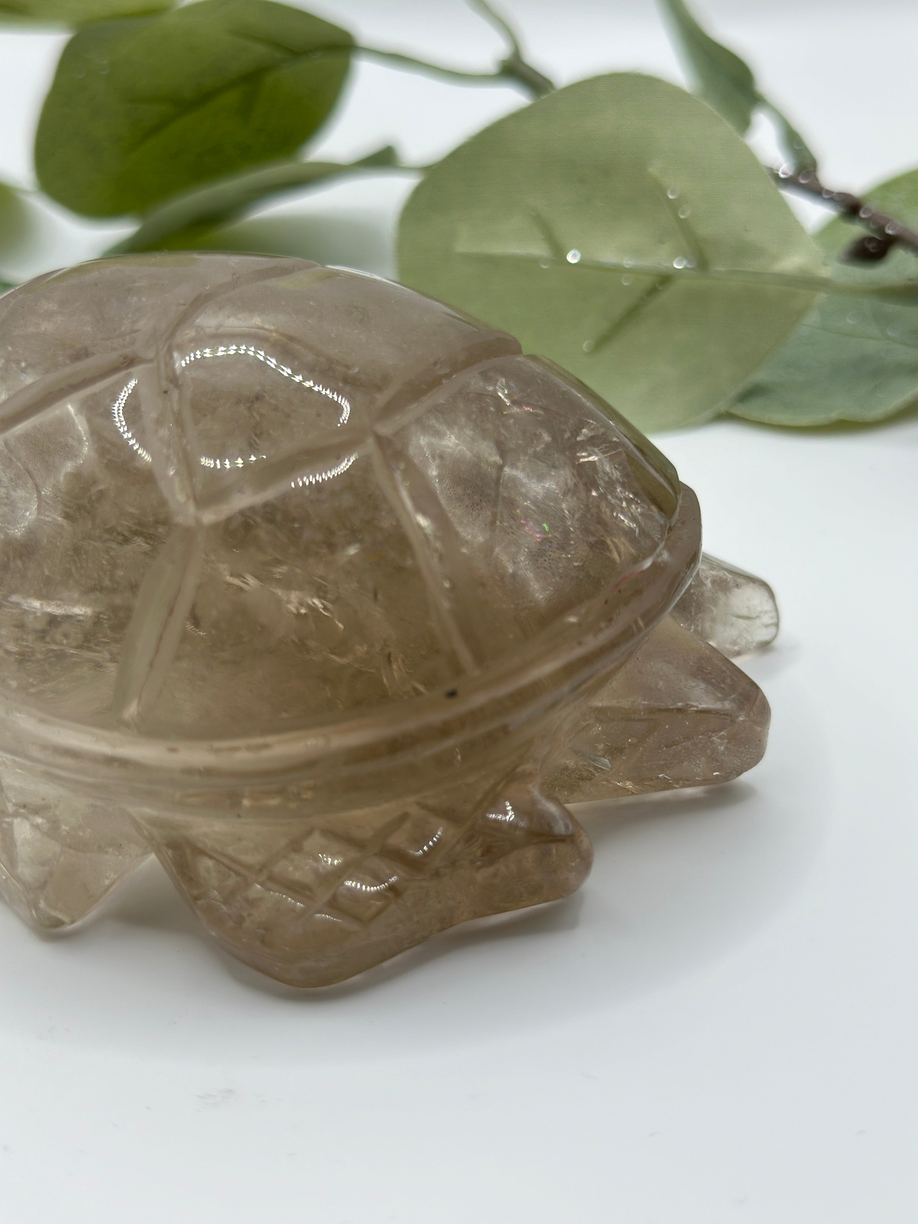 XXL Rauchquarz Schildkröte