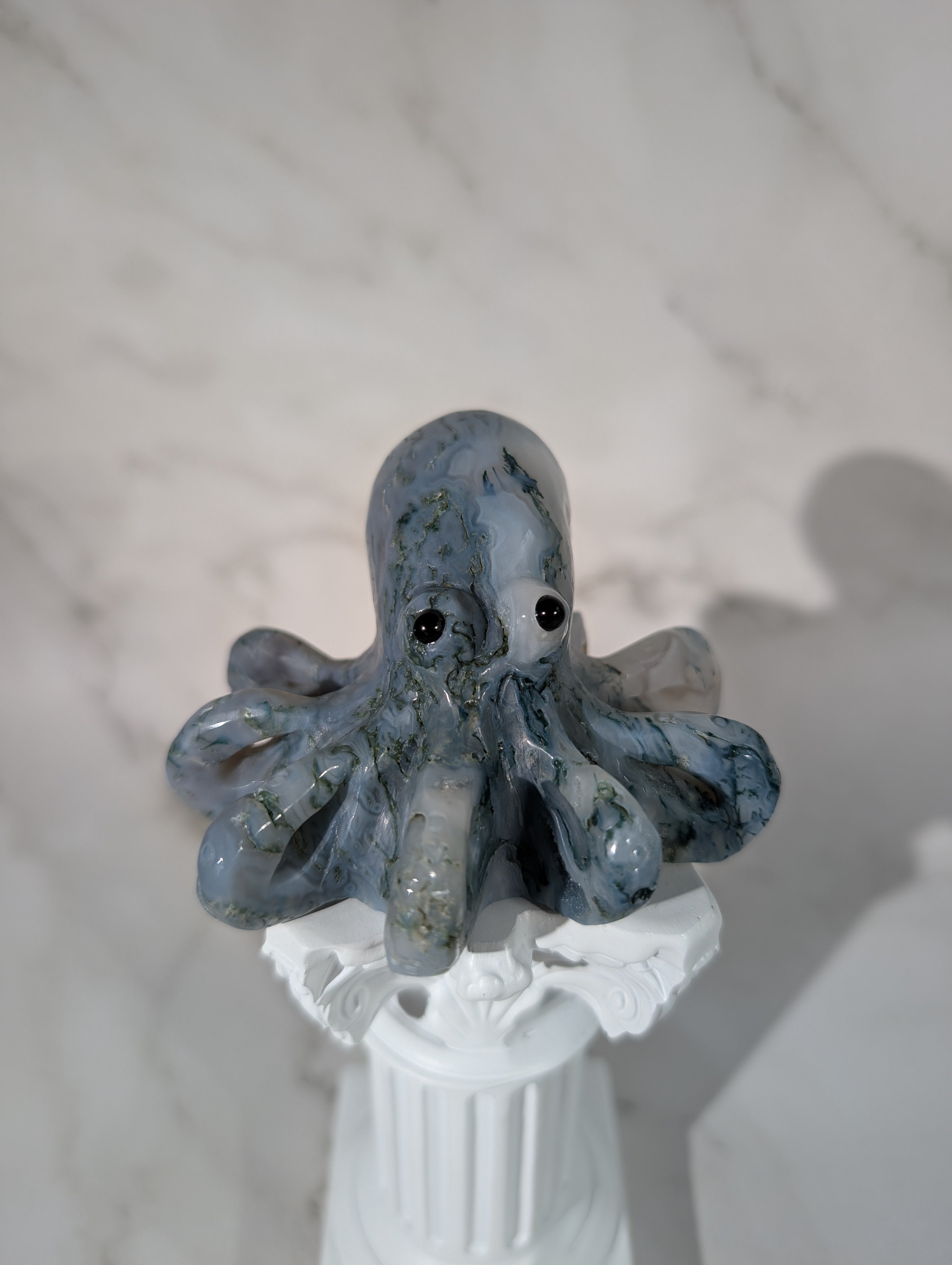 Moosachat Octopus