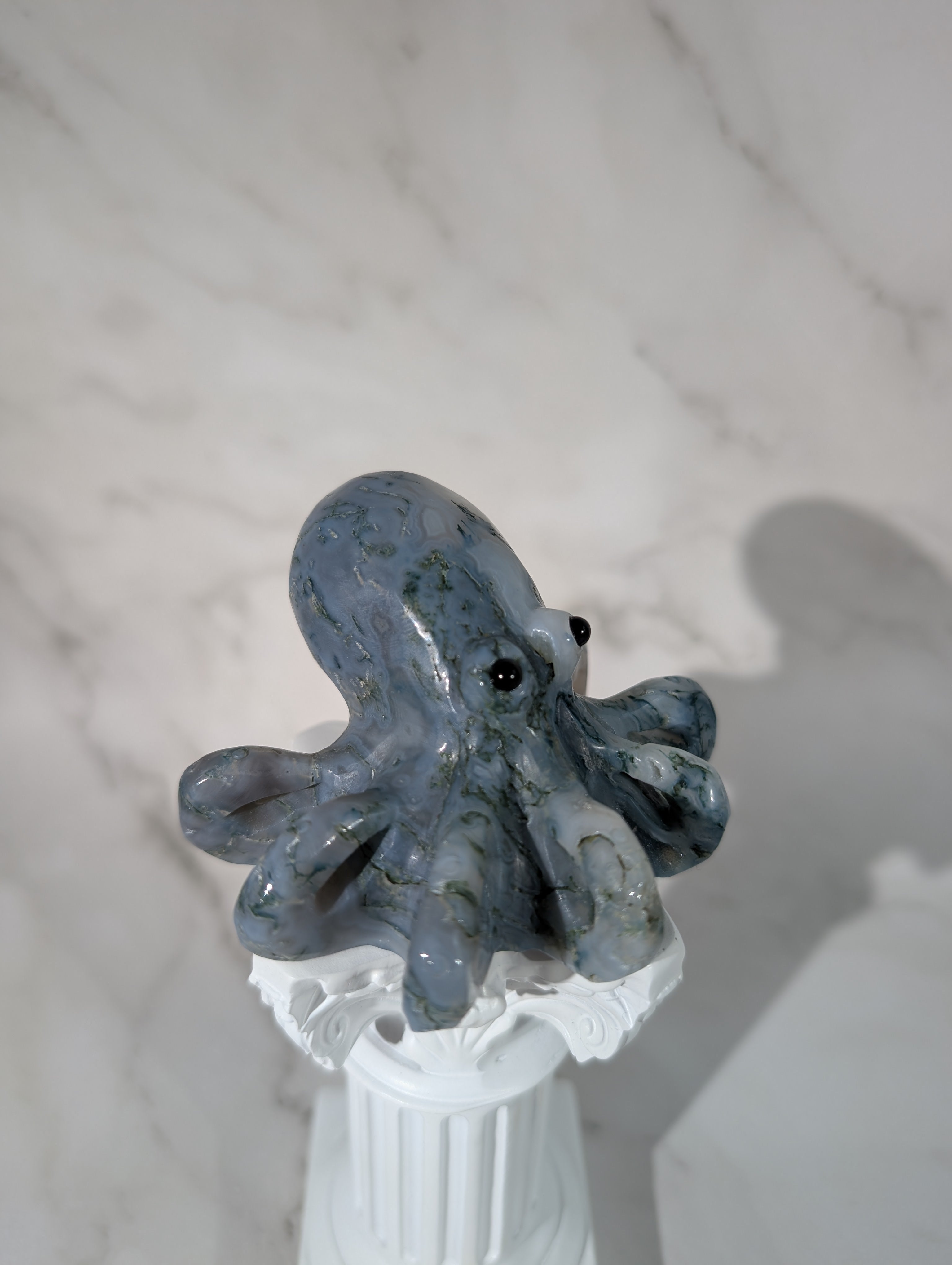 Moosachat Octopus
