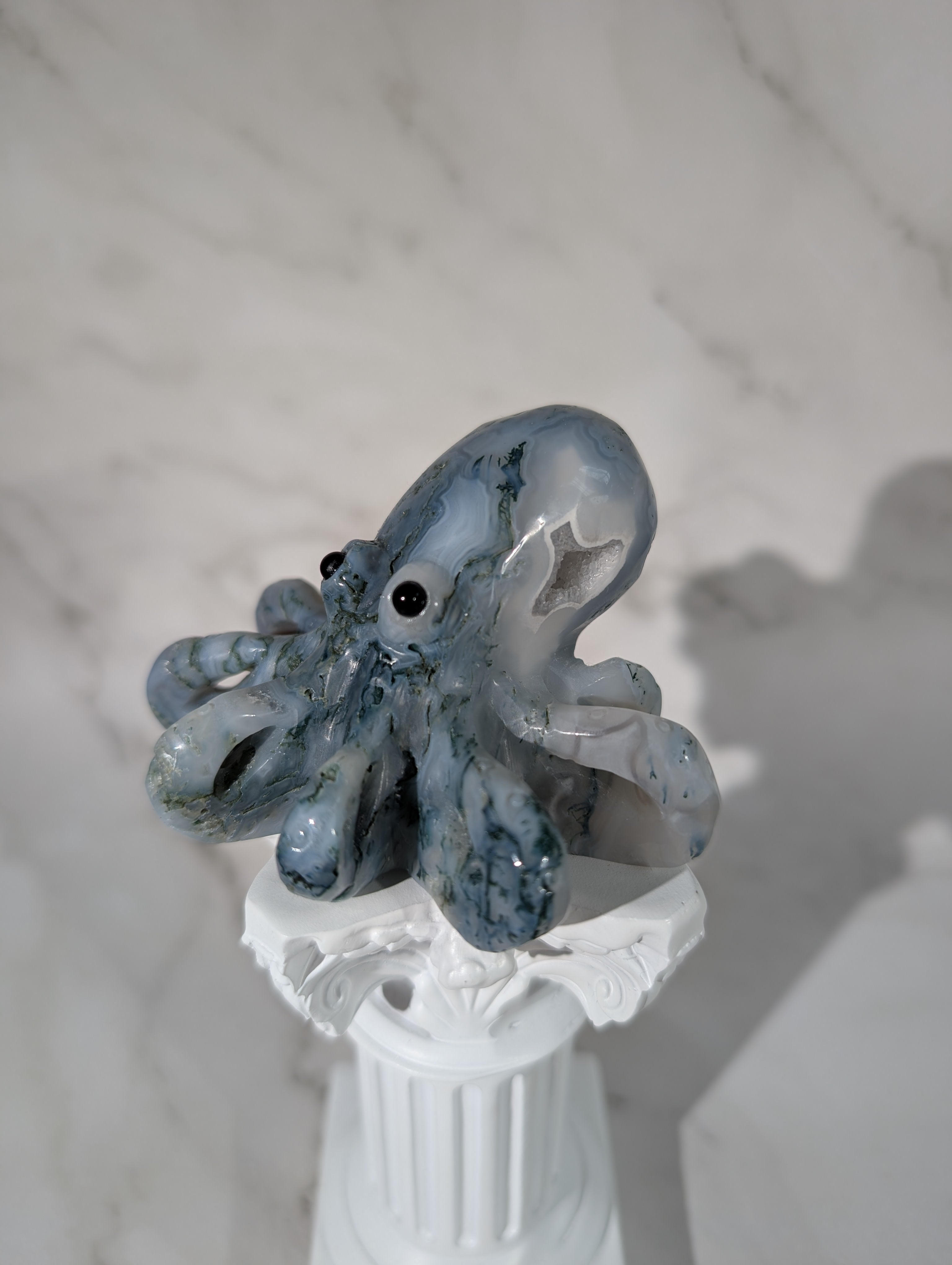 Moosachat Octopus