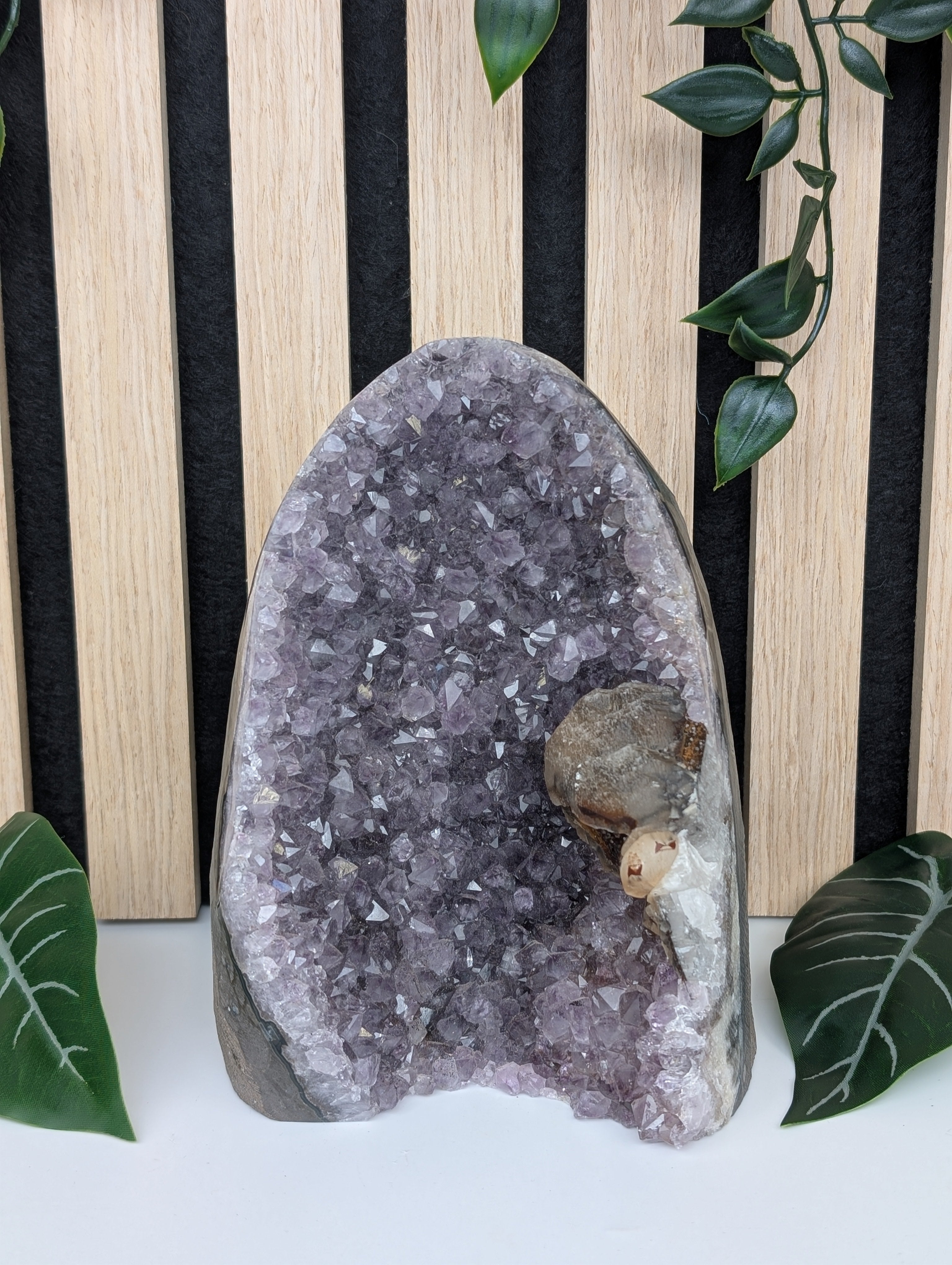 Amethyst Druse mit Calcit und Hematit