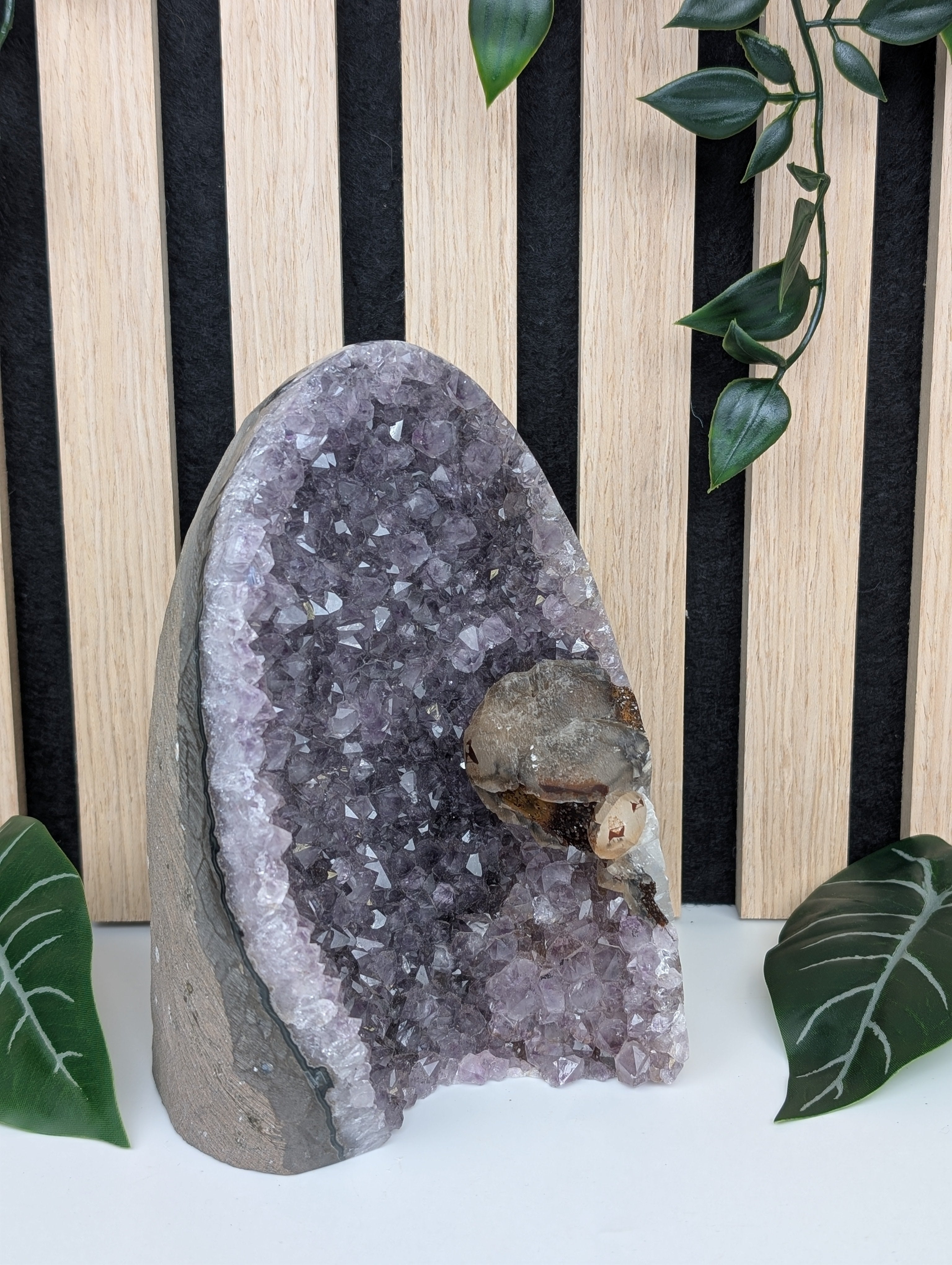 Amethyst Druse mit Calcit und Hematit