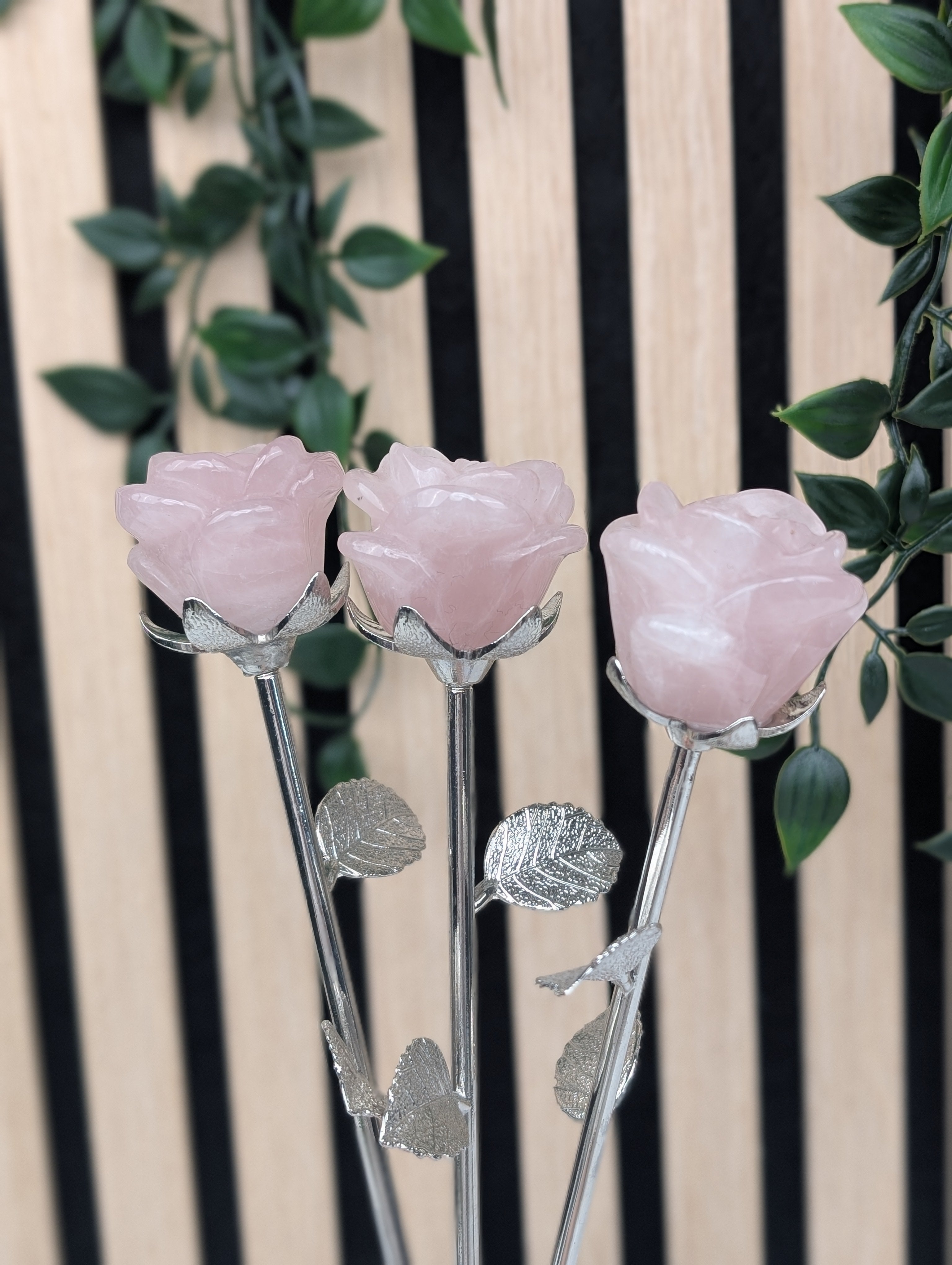 Rosenquarz Rose Silber Mystery