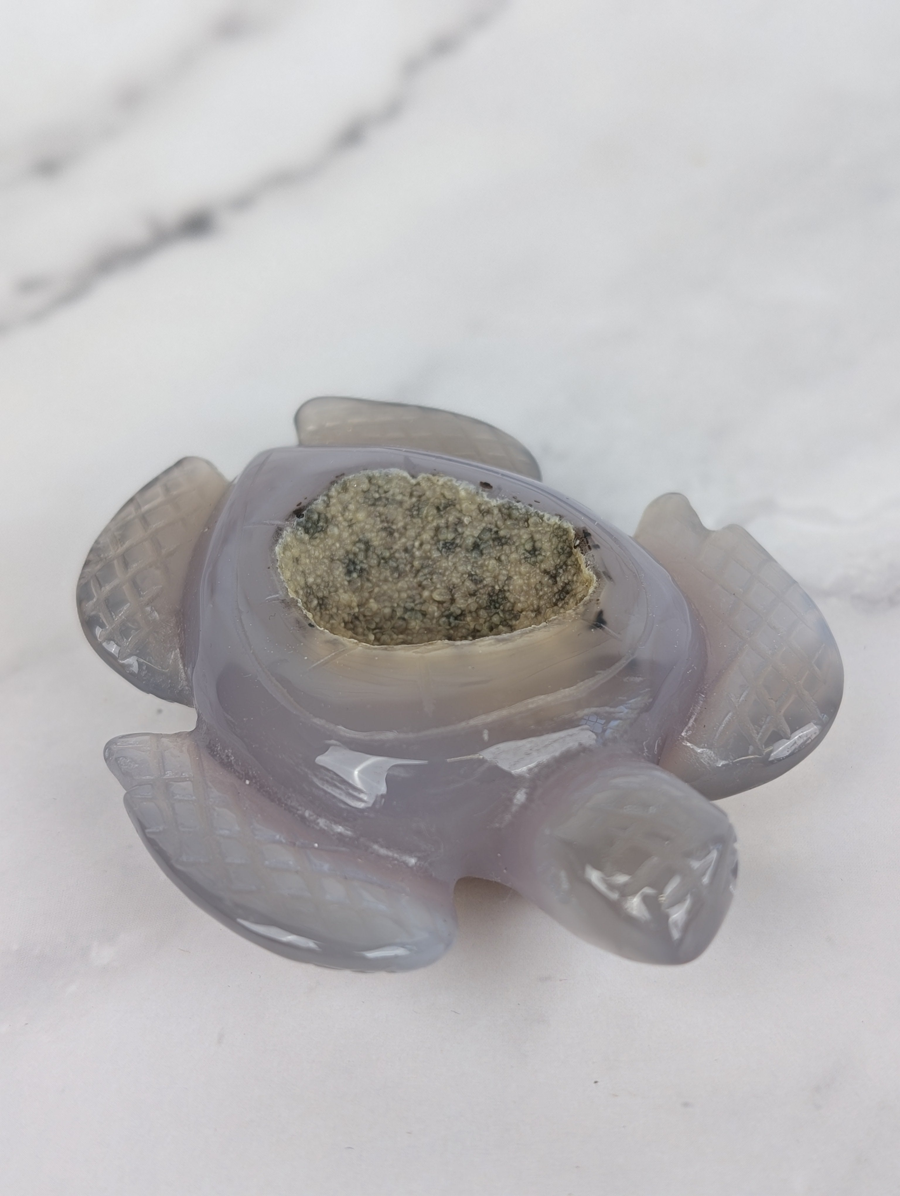 Achat Schildkröte mit Druse 4