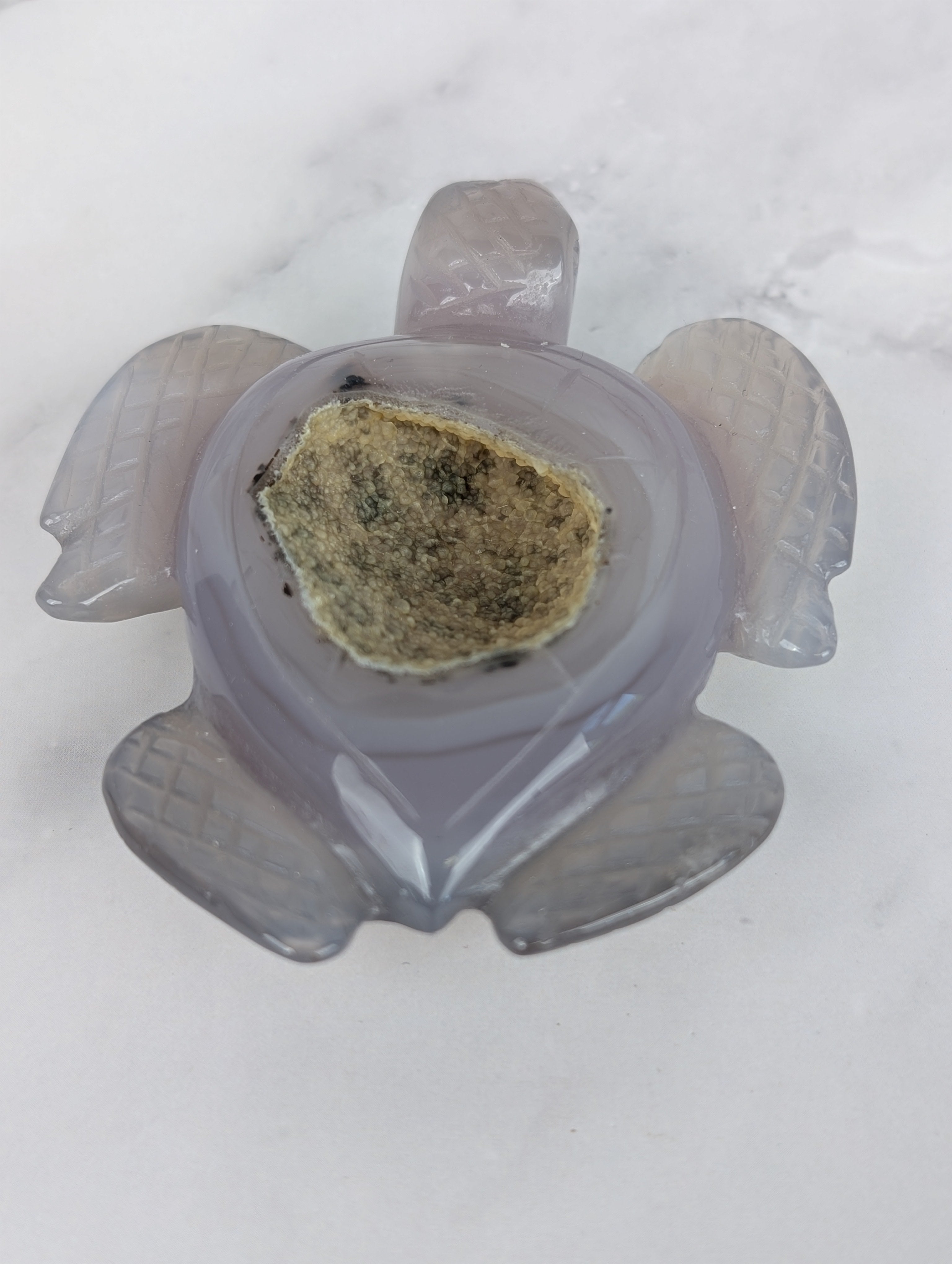 Achat Schildkröte mit Druse 4