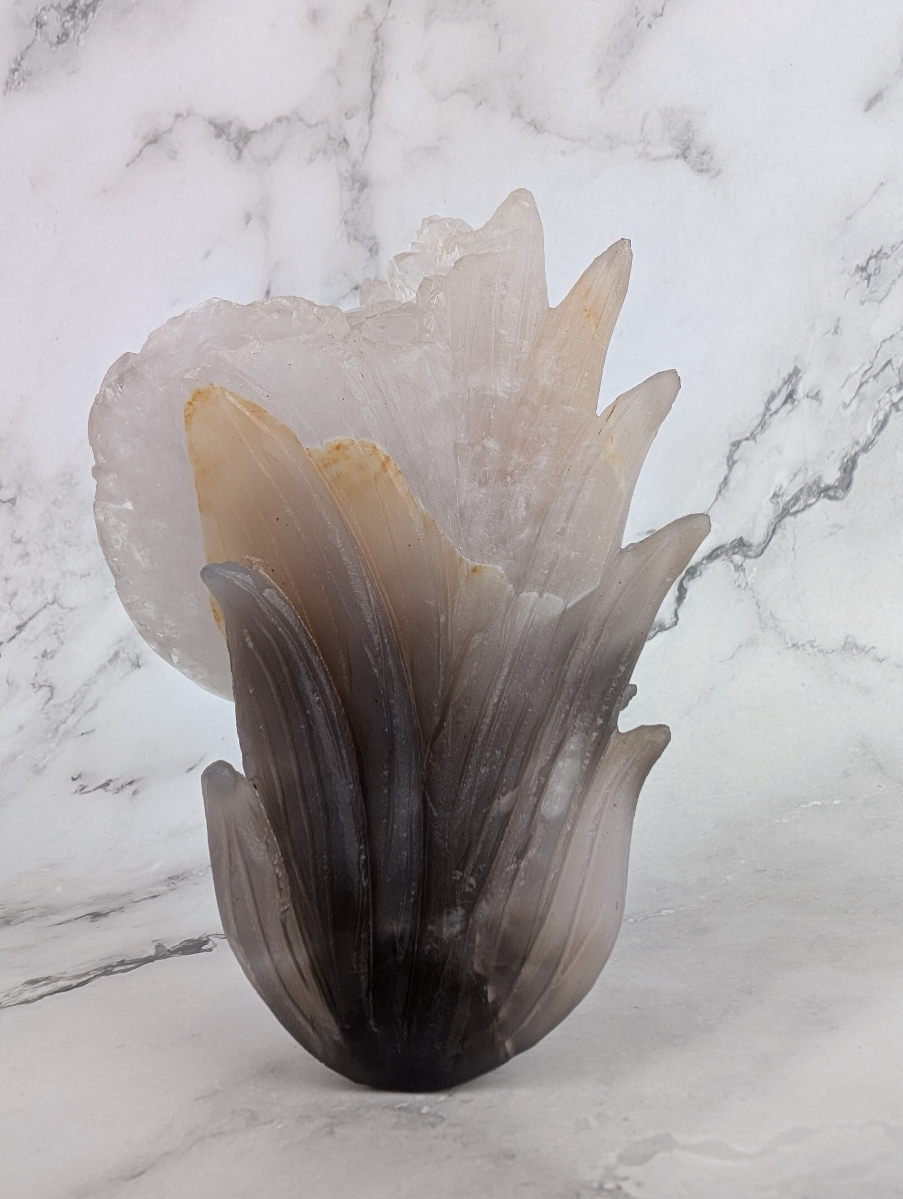 Achat neunschwänziger Fuchs - High Quality 3