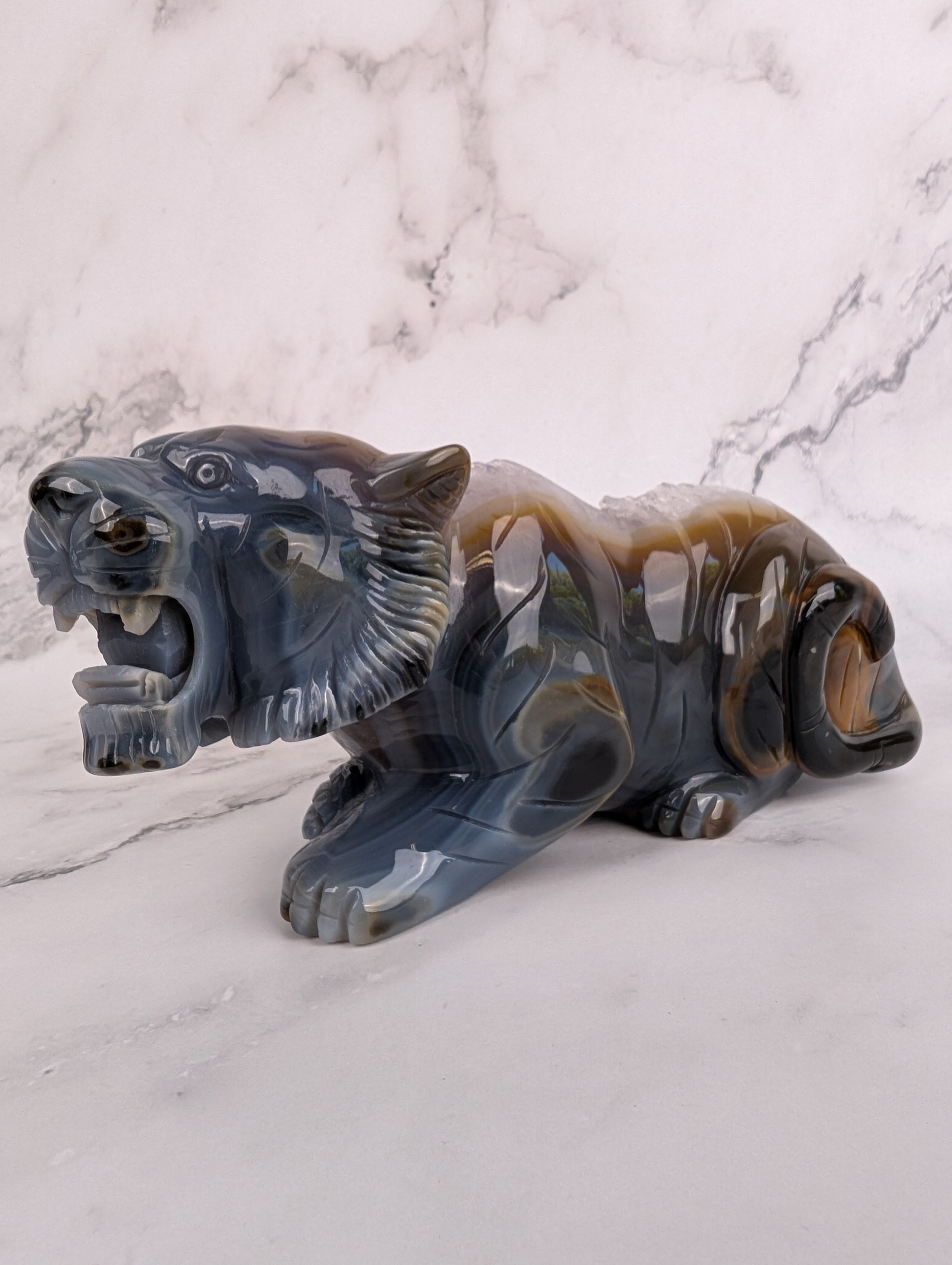 XXL Achat Tiger - High Quality