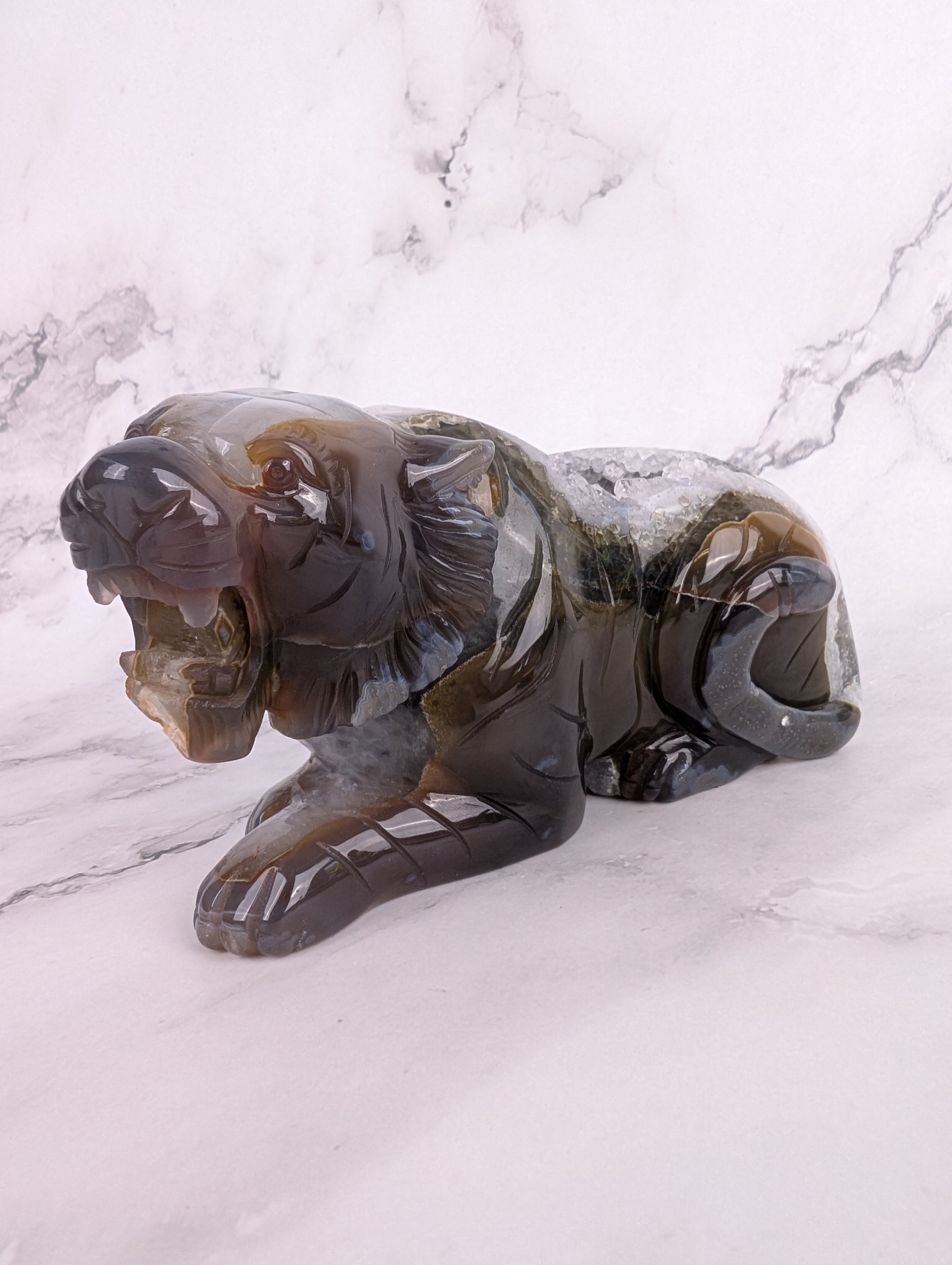 XXL Achat Tiger 1 - High Quality