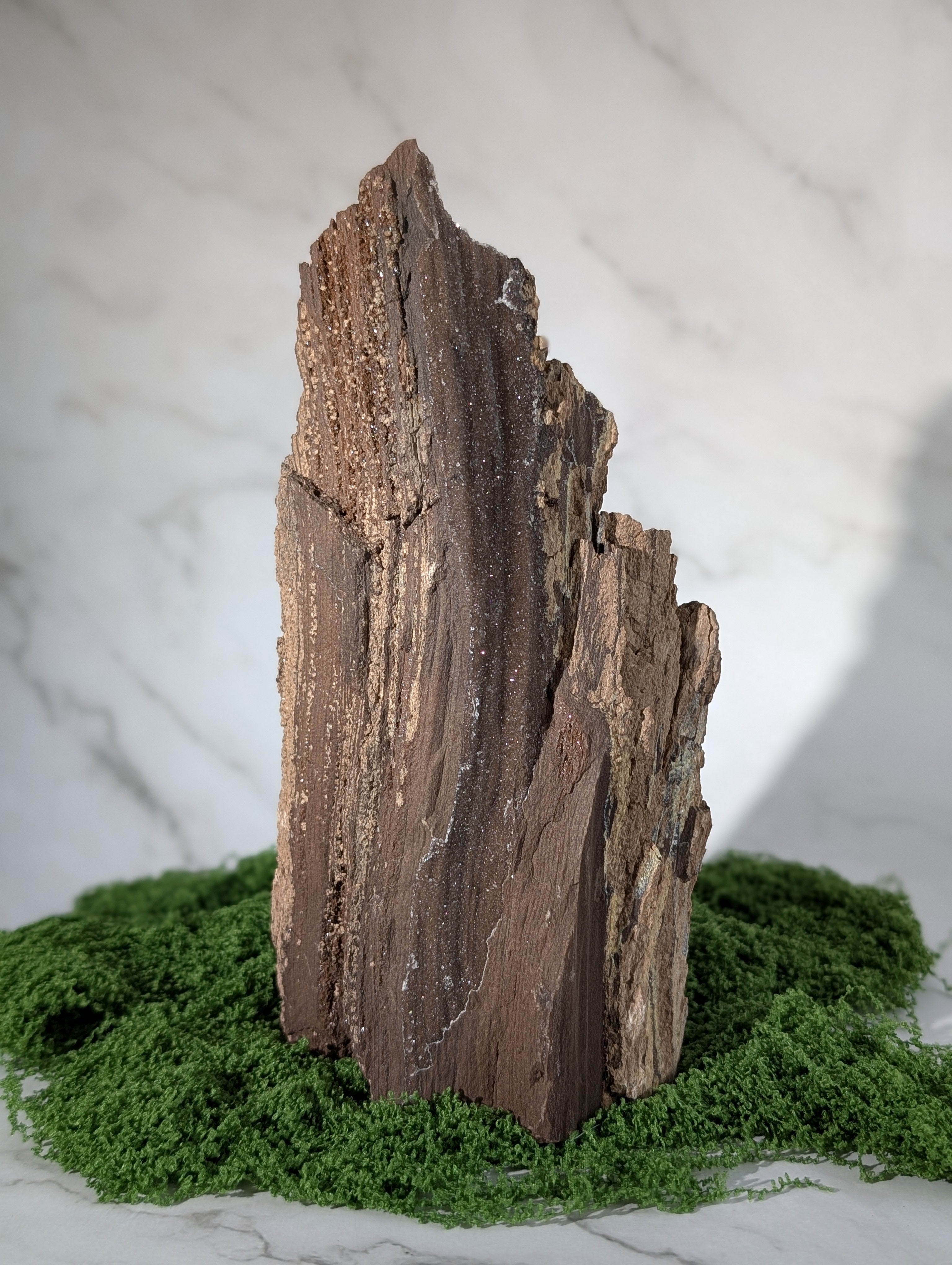 Fossiles Holz "Feenholz" 14