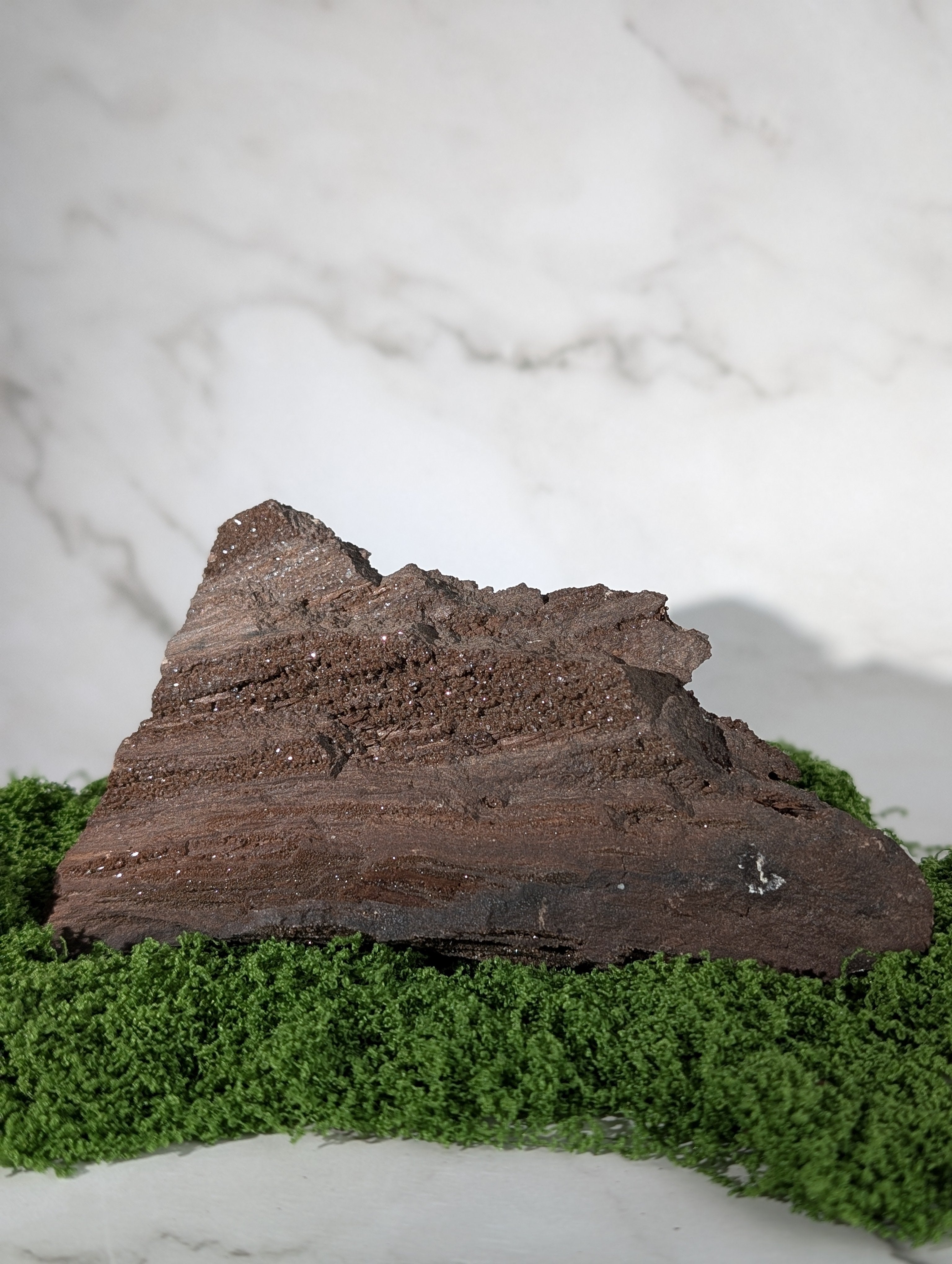 Fossiles Holz "Feenholz" 5