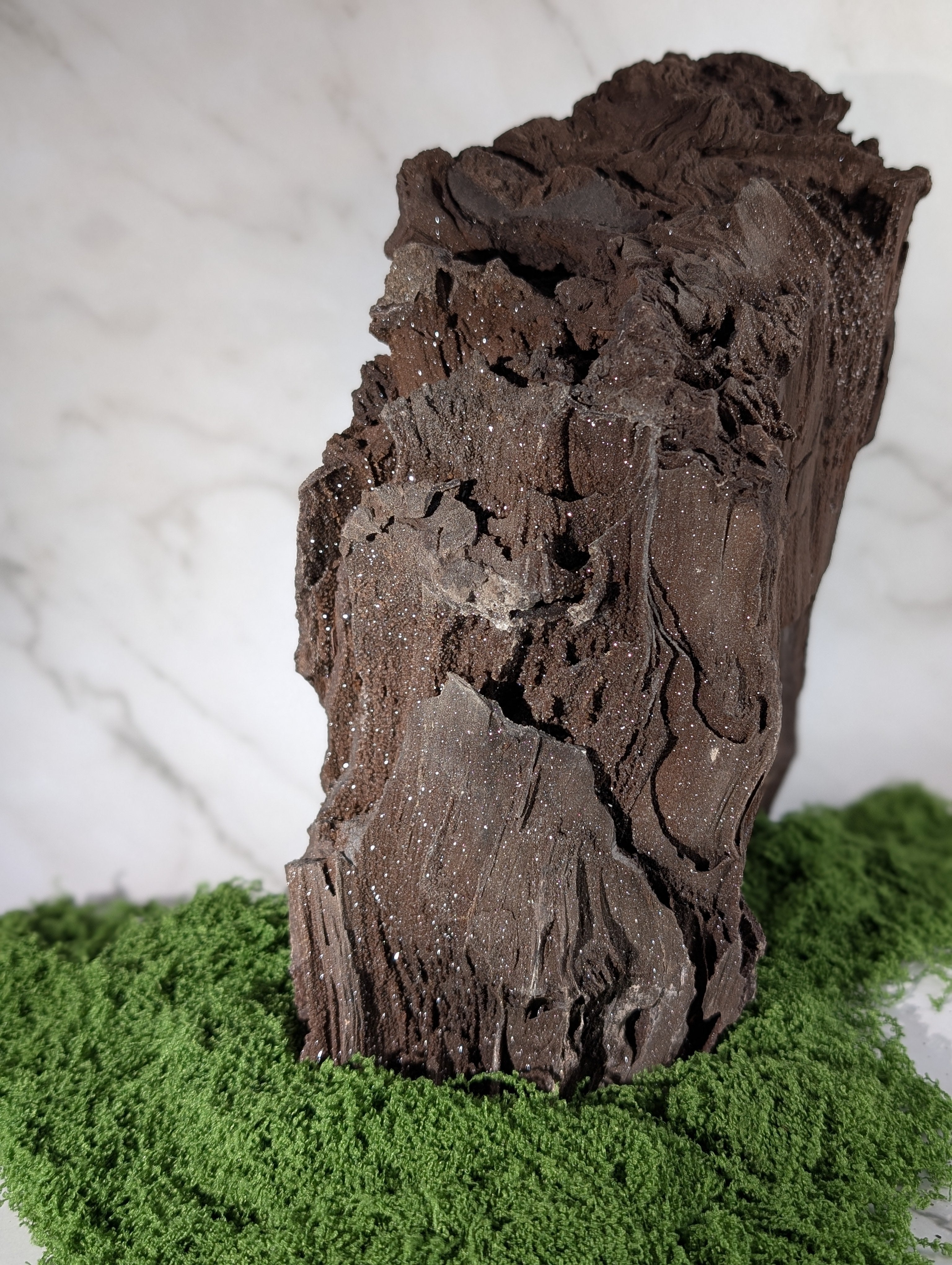 Fossiles Holz "Feenholz" XXL 1