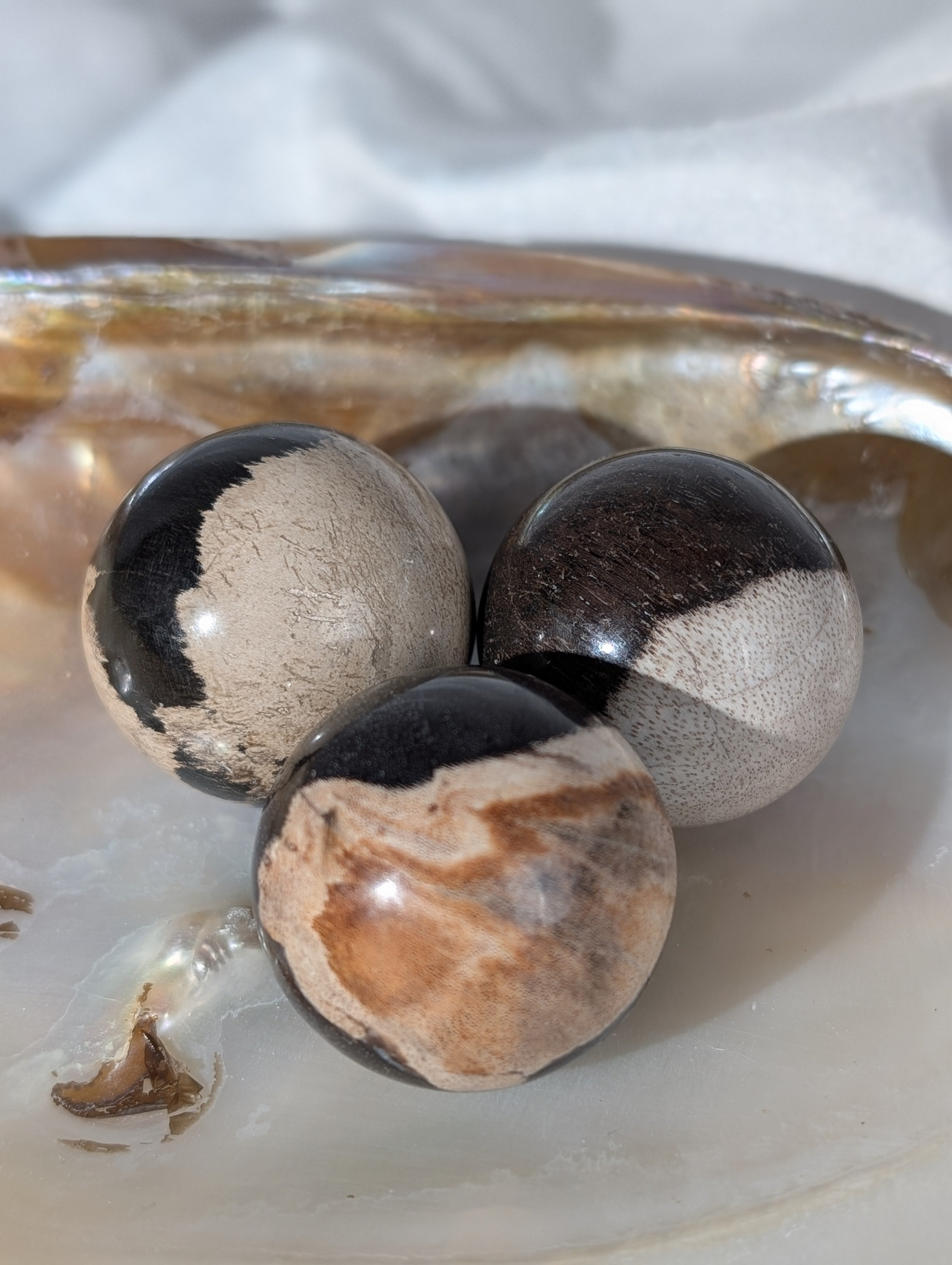 Versteinertes Holz Kugel Mystery