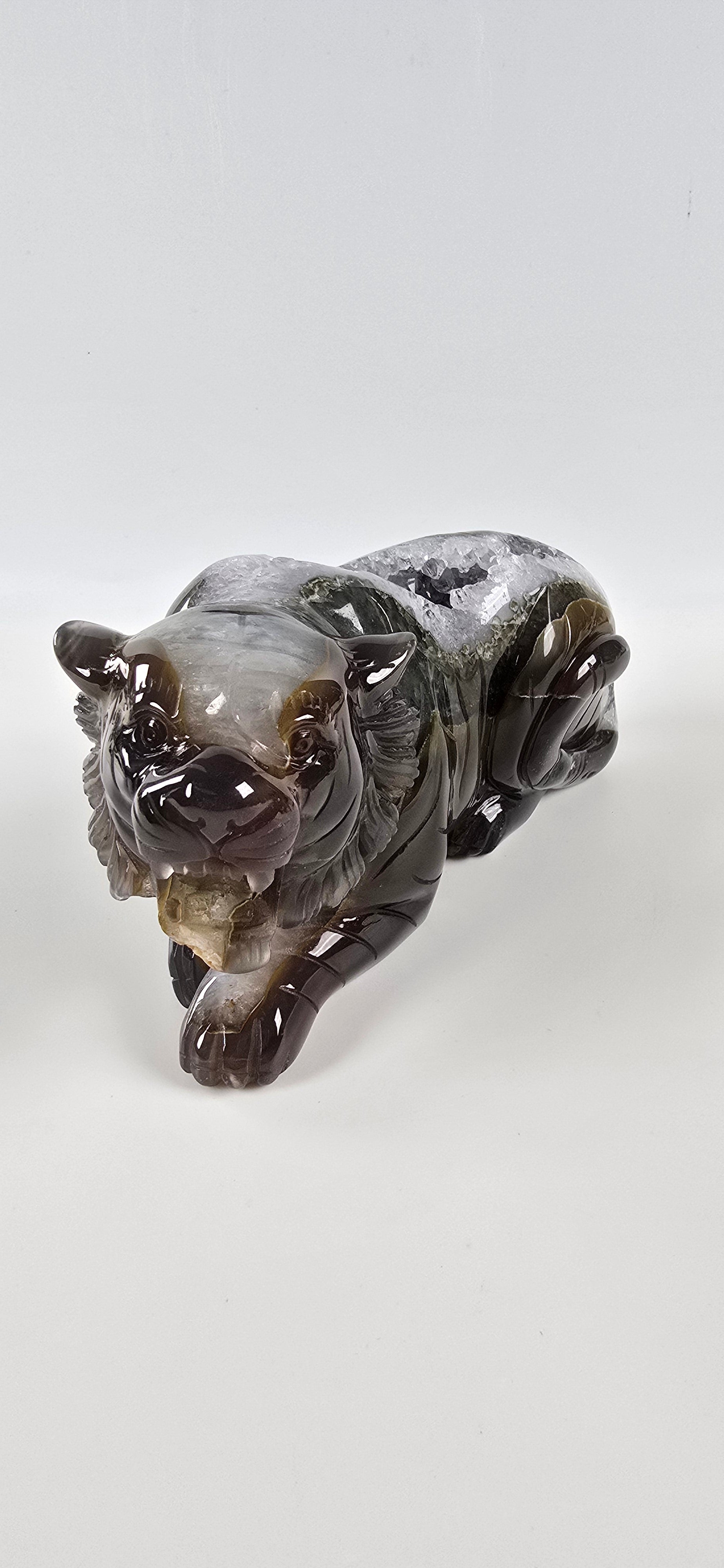 XXL Achat Tiger 1 - High Quality