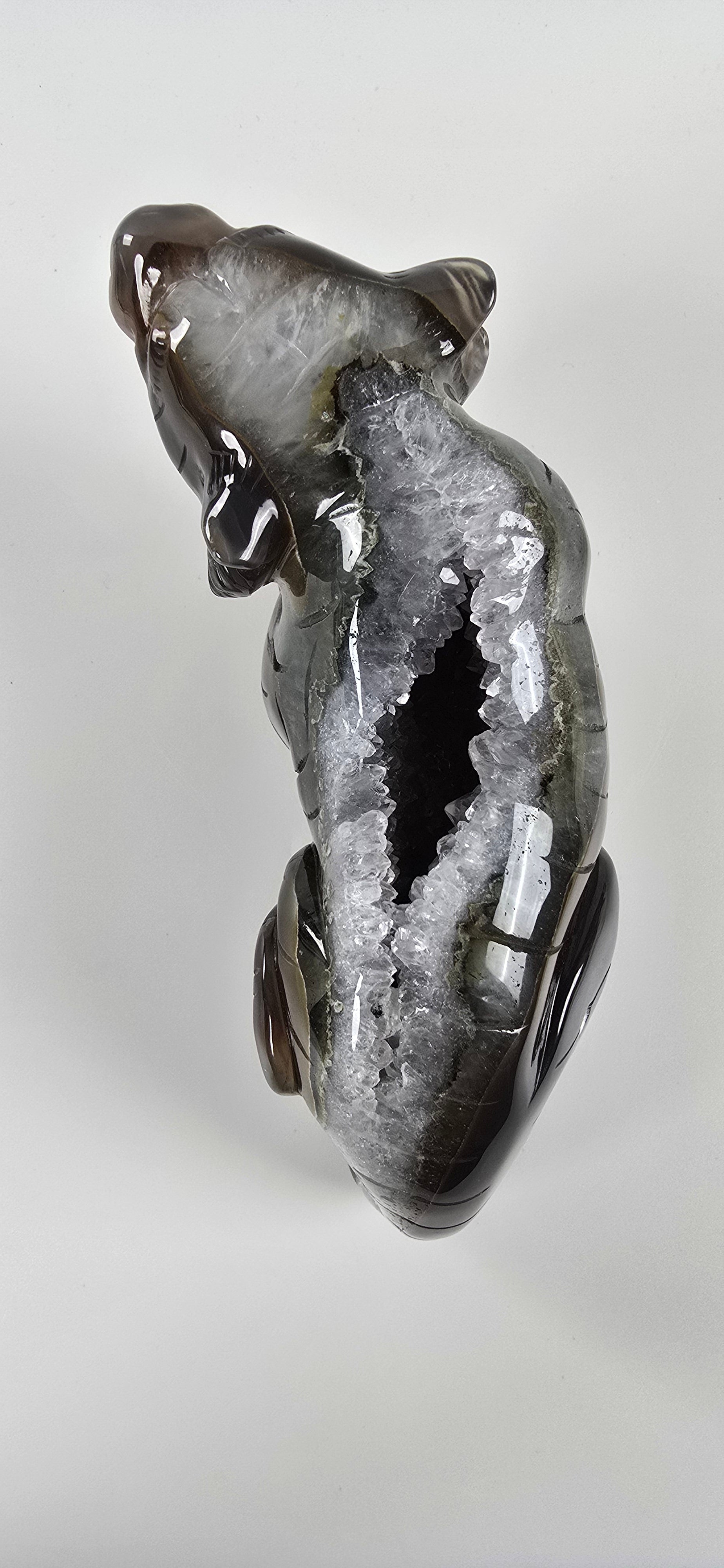 XXL Achat Tiger 1 - High Quality