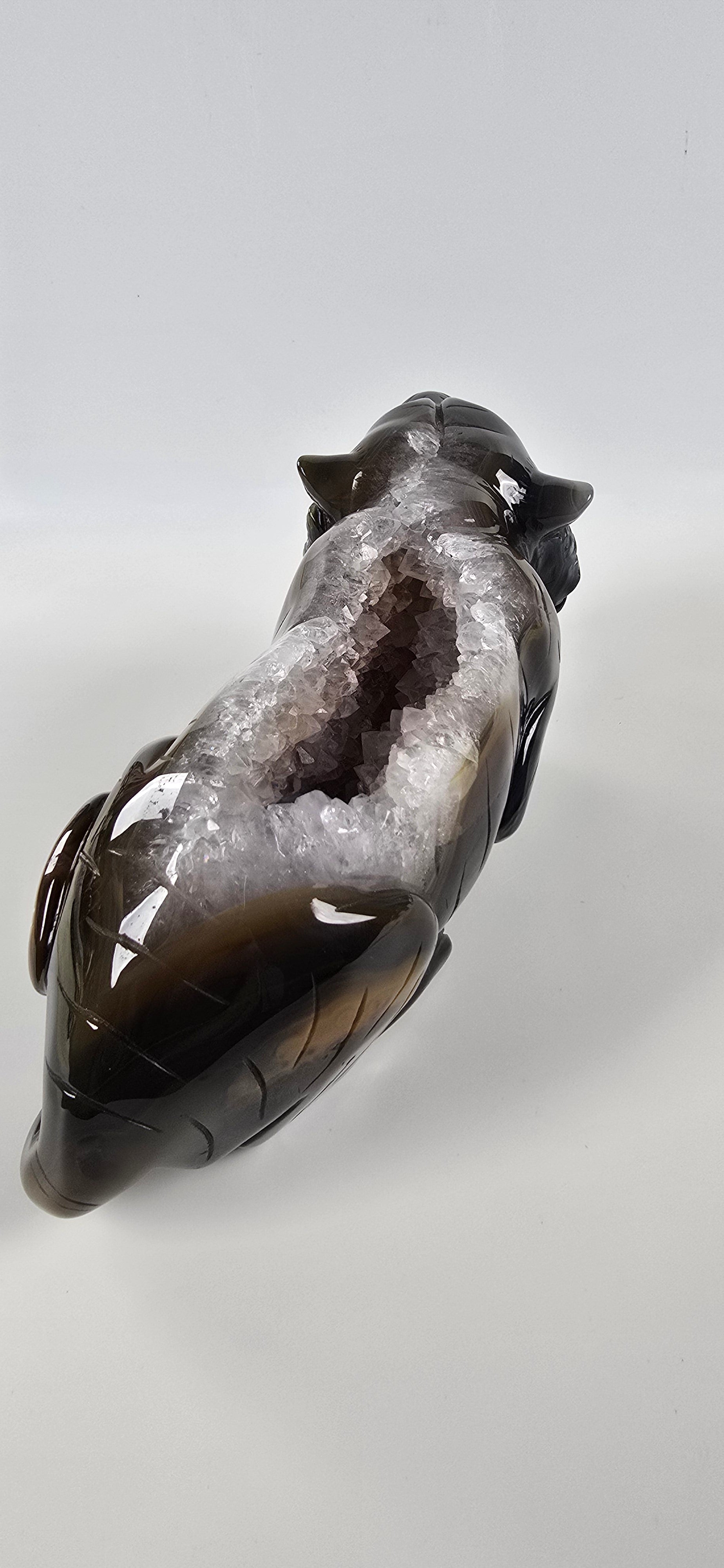 XXL Achat Tiger - High Quality