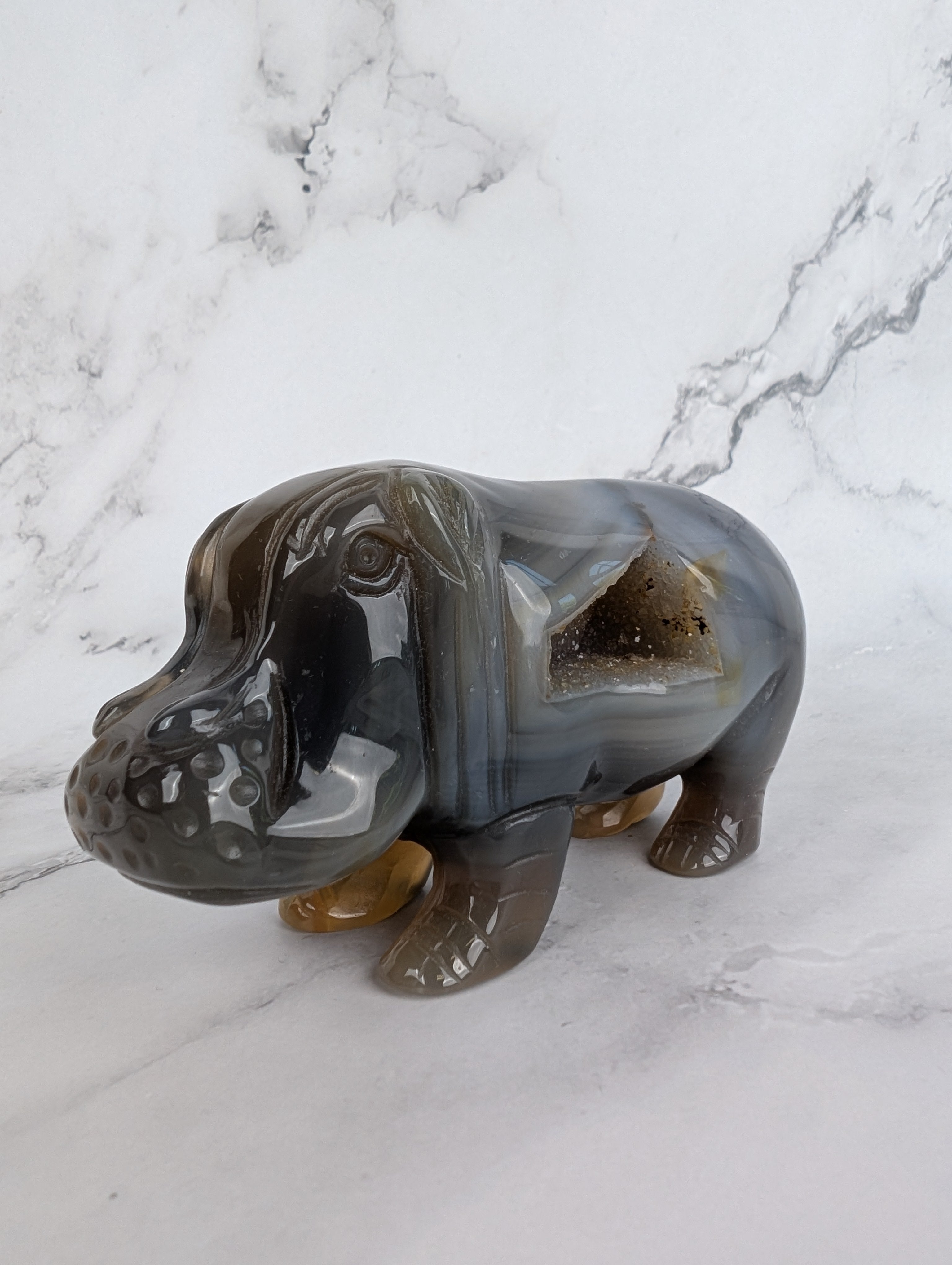Achat Nilpferd mit Druse - High Quality