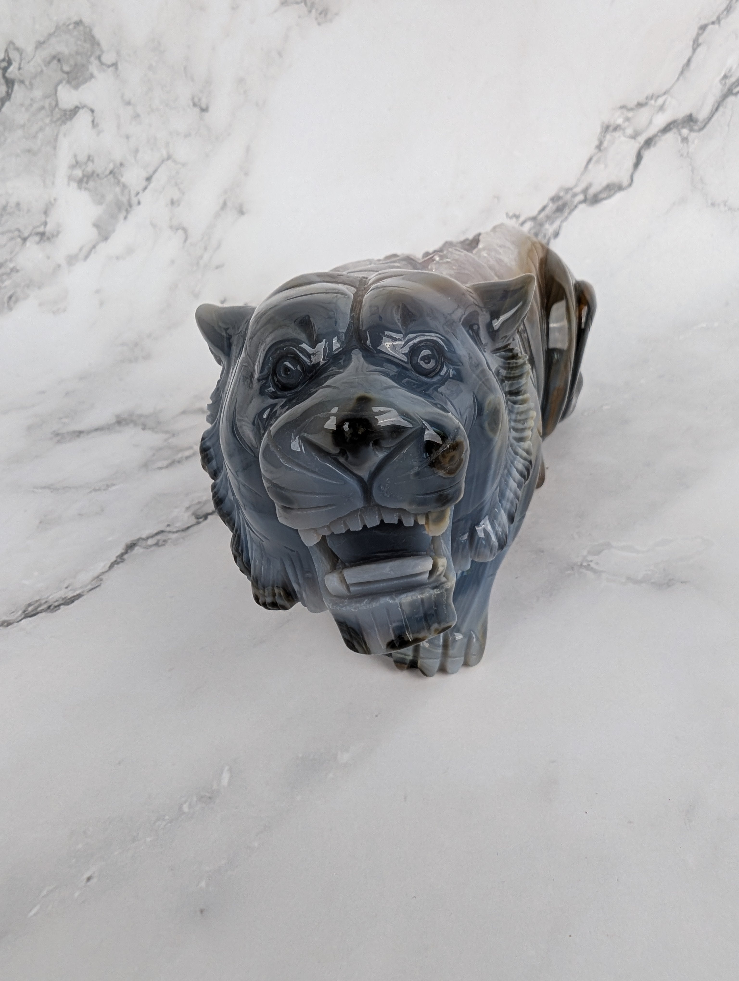 XXL Achat Tiger - High Quality