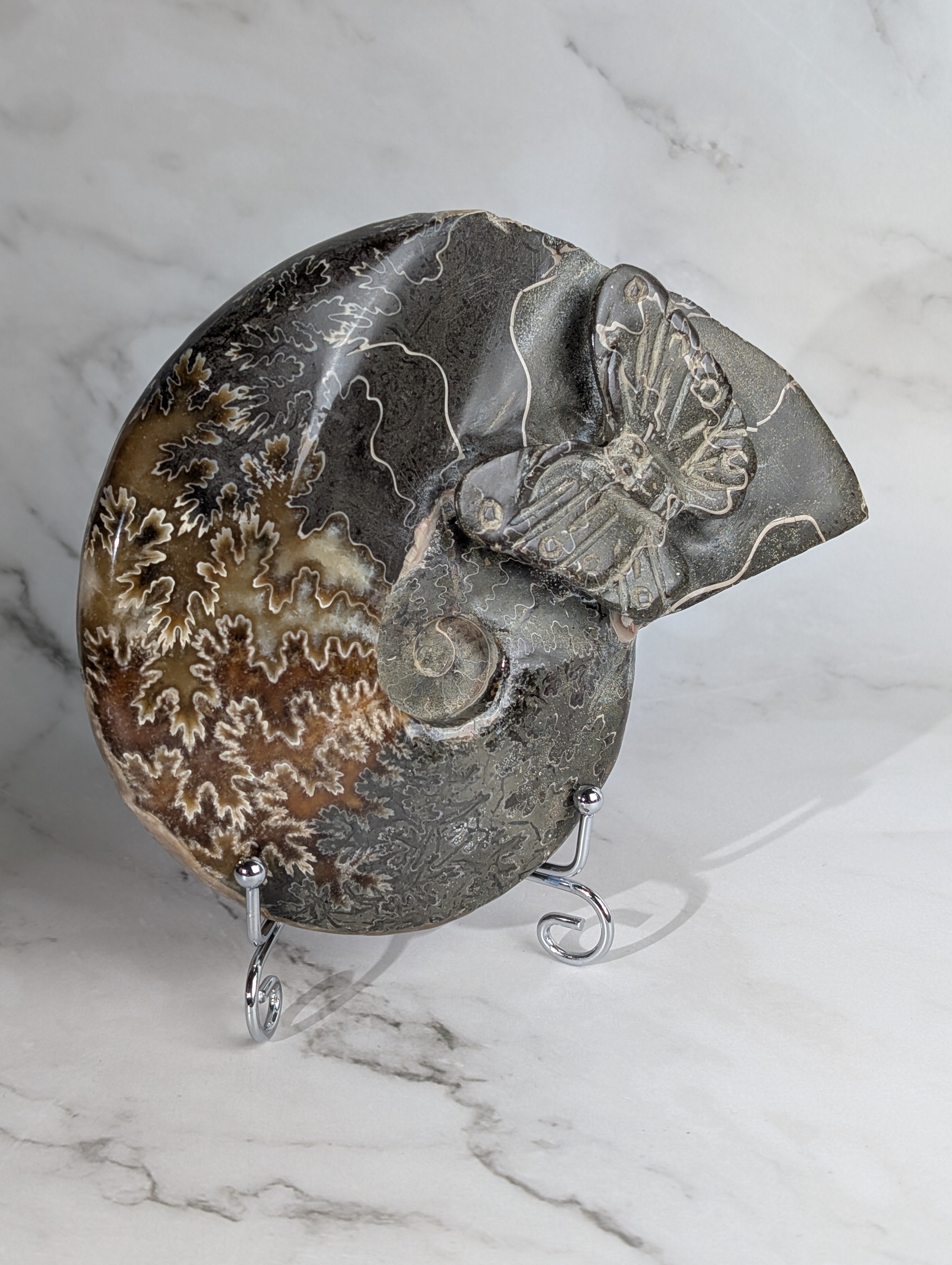 Ammoniten Carving Schmetterling 2