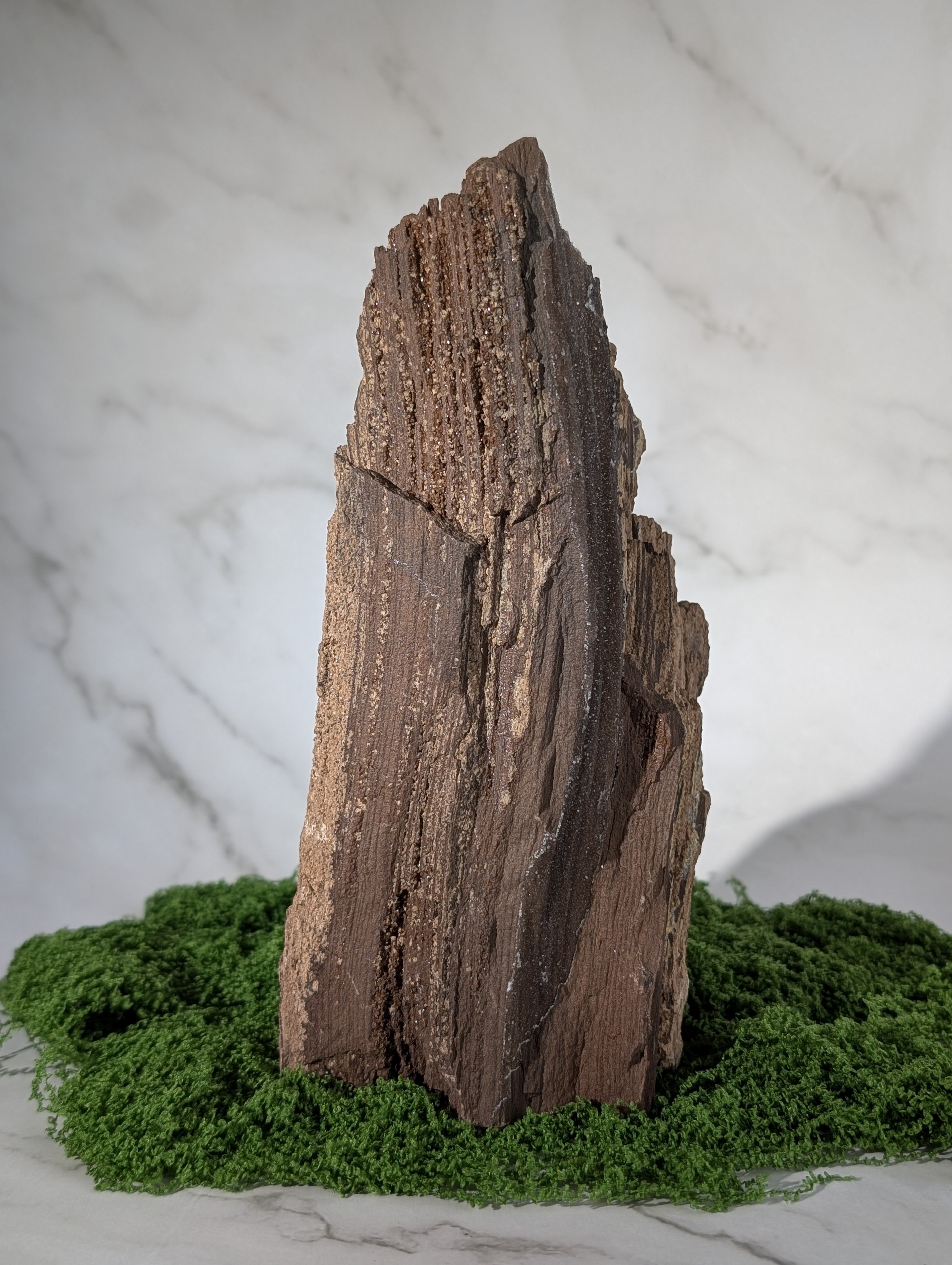 Fossiles Holz "Feenholz" 14