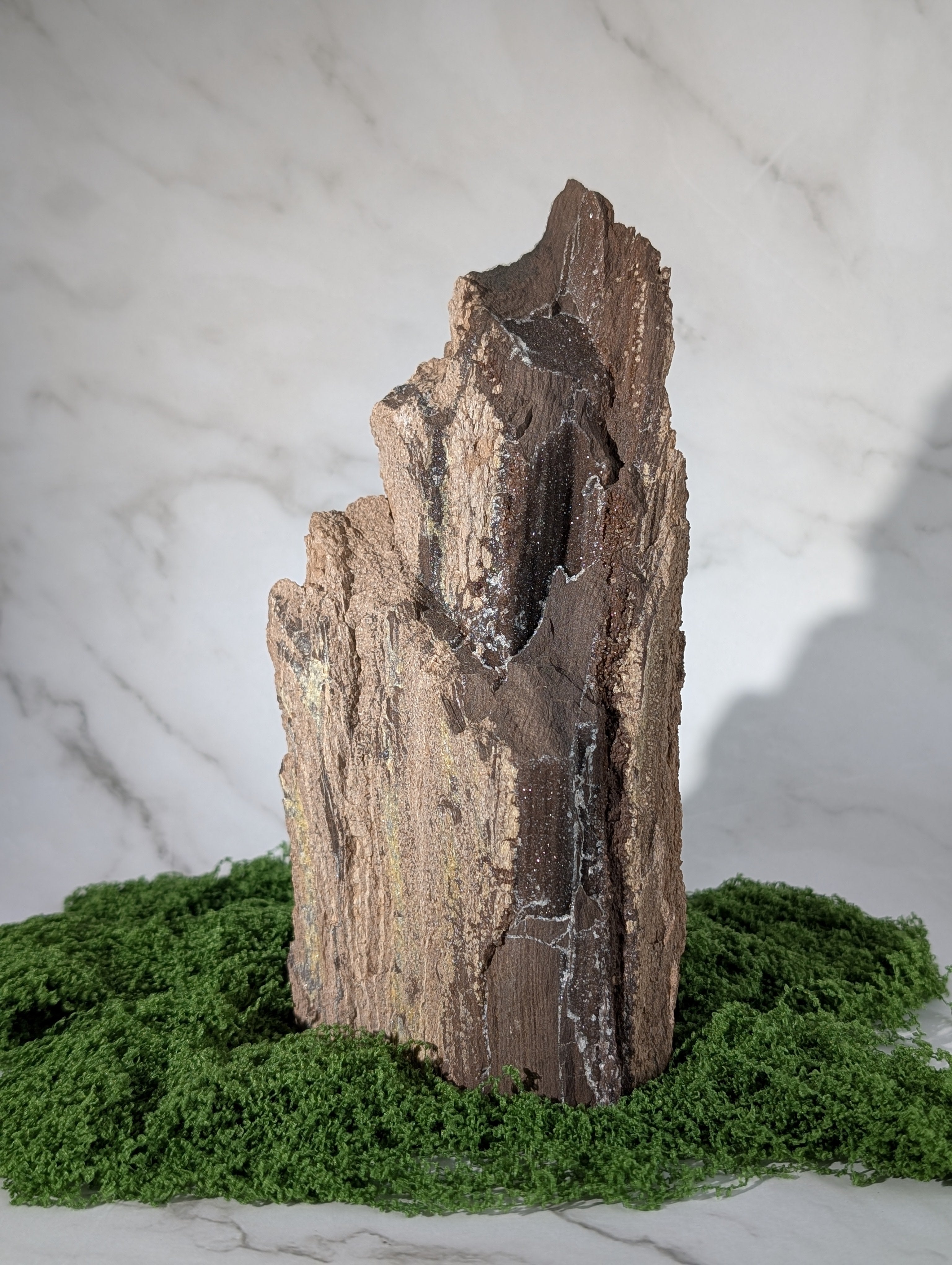 Fossiles Holz "Feenholz" 14