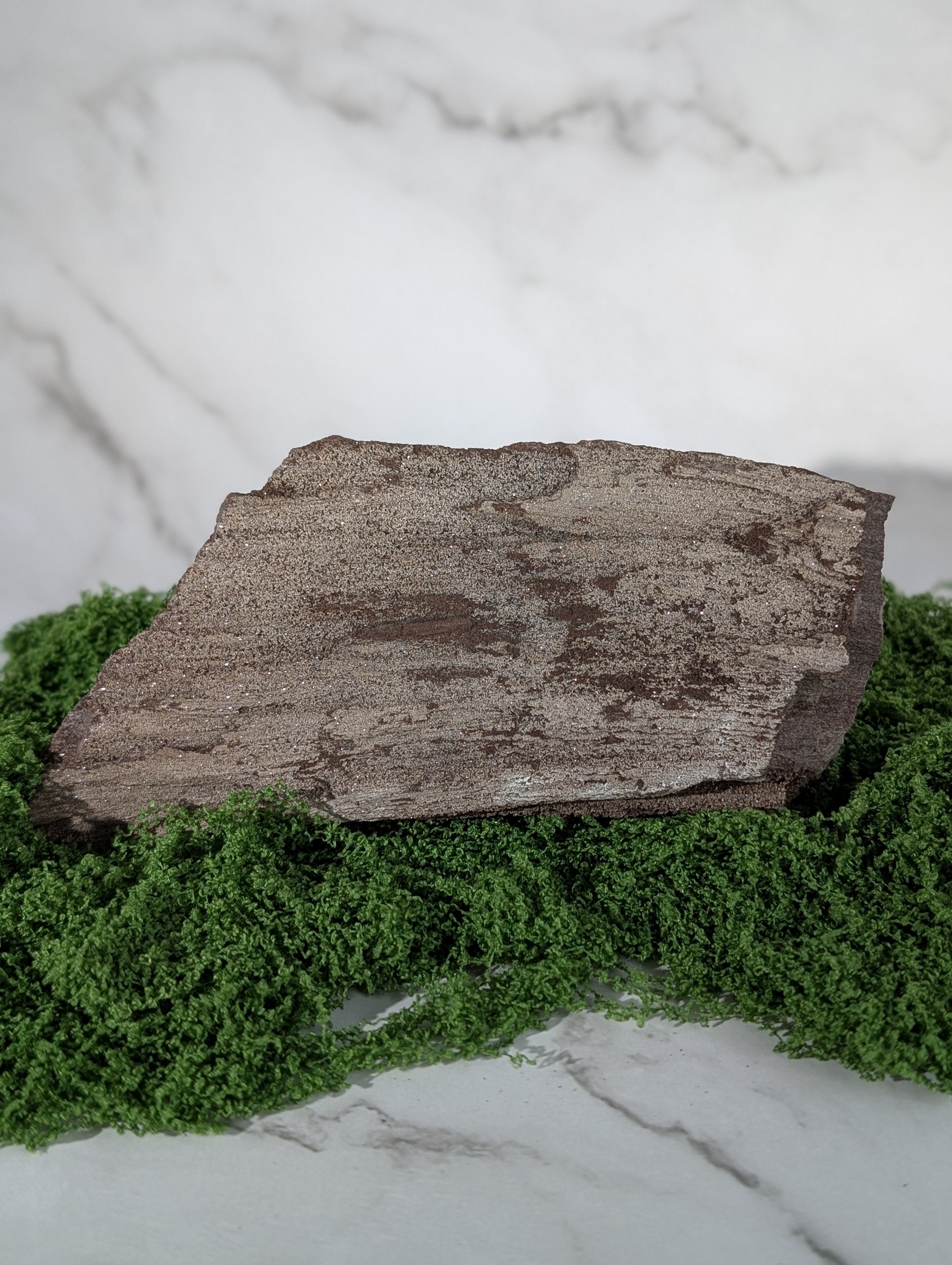 Fossiles Holz "Feenholz" 9
