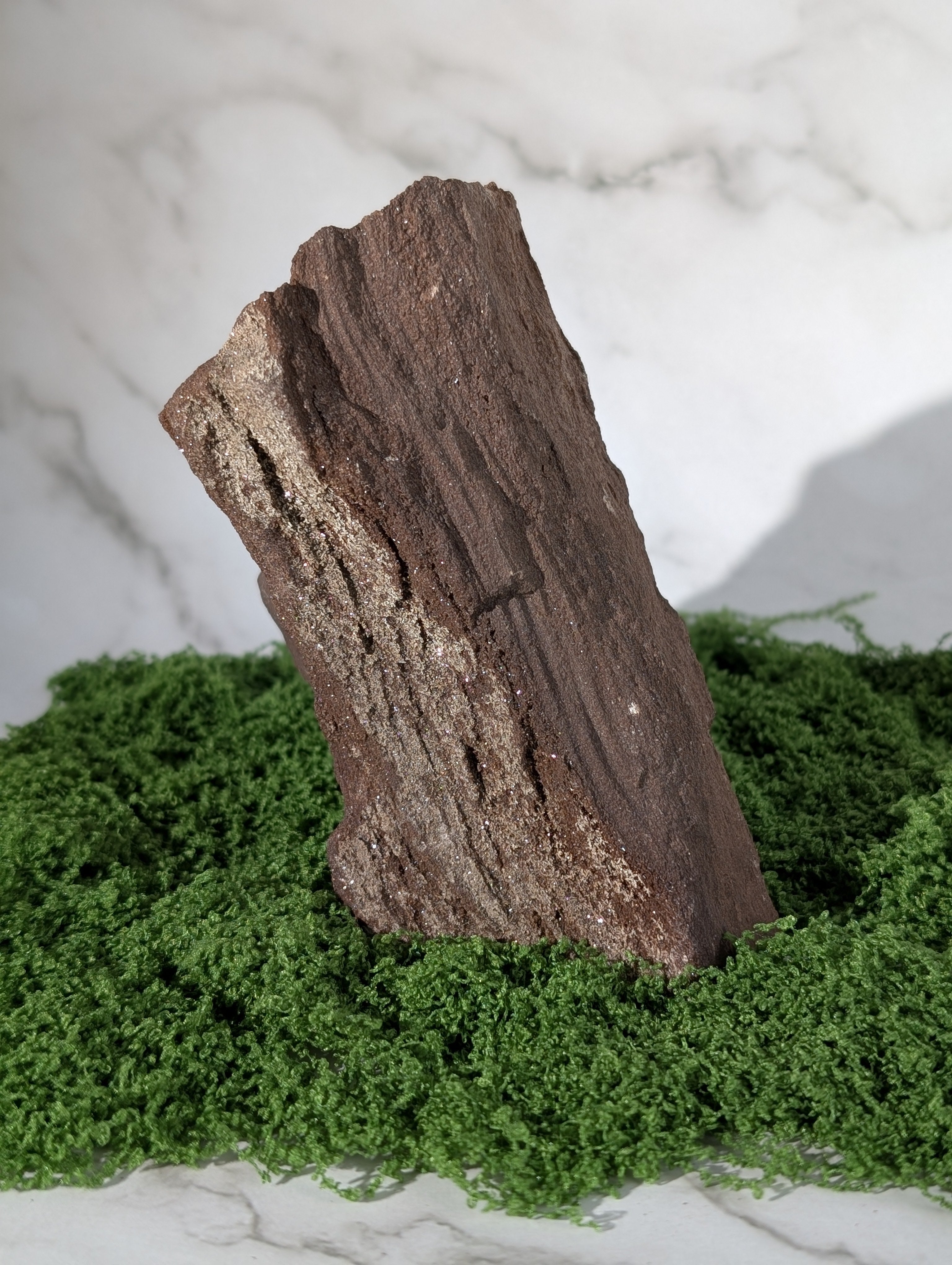 Fossiles Holz "Feenholz"