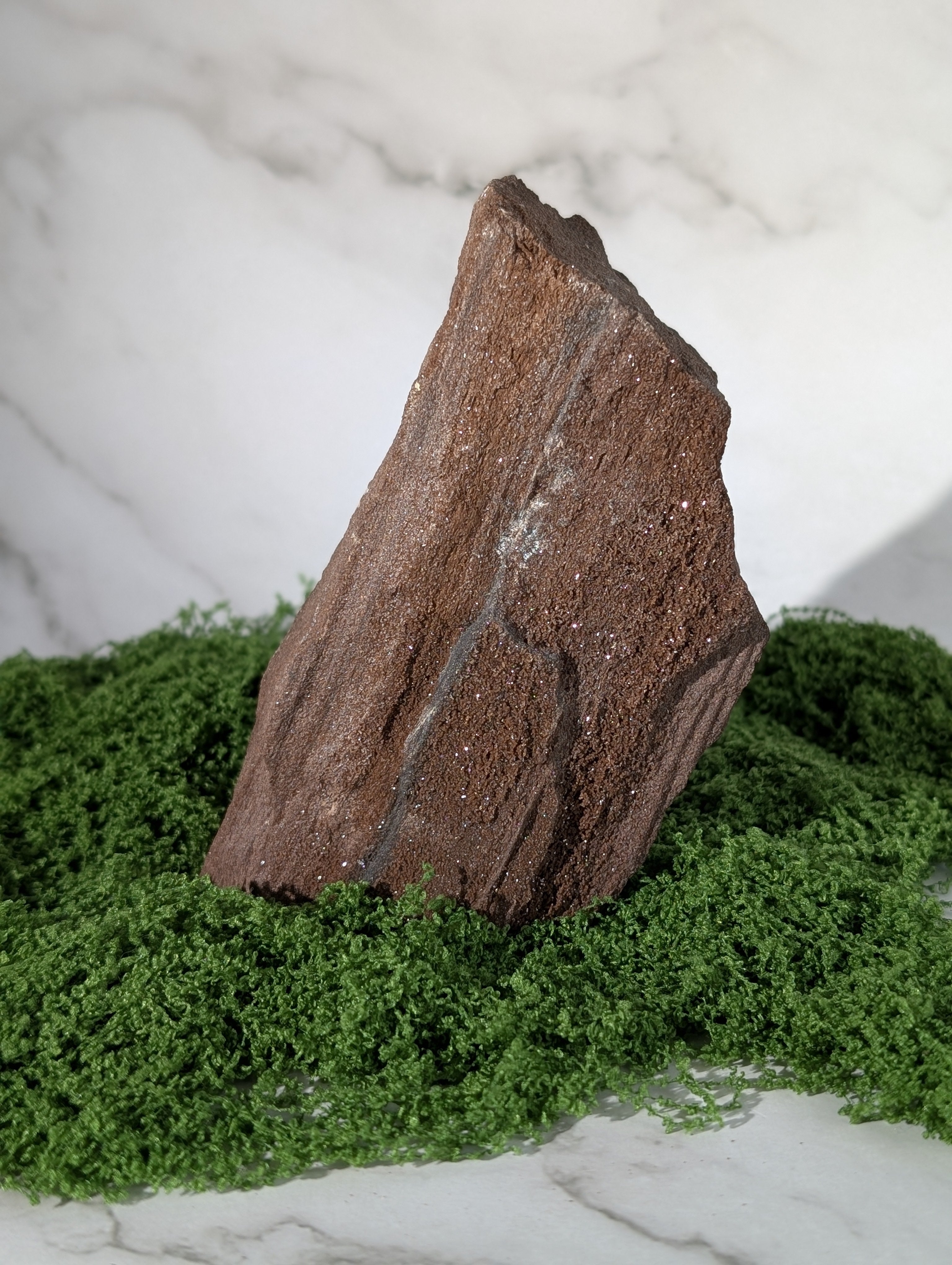 Fossiles Holz "Feenholz"