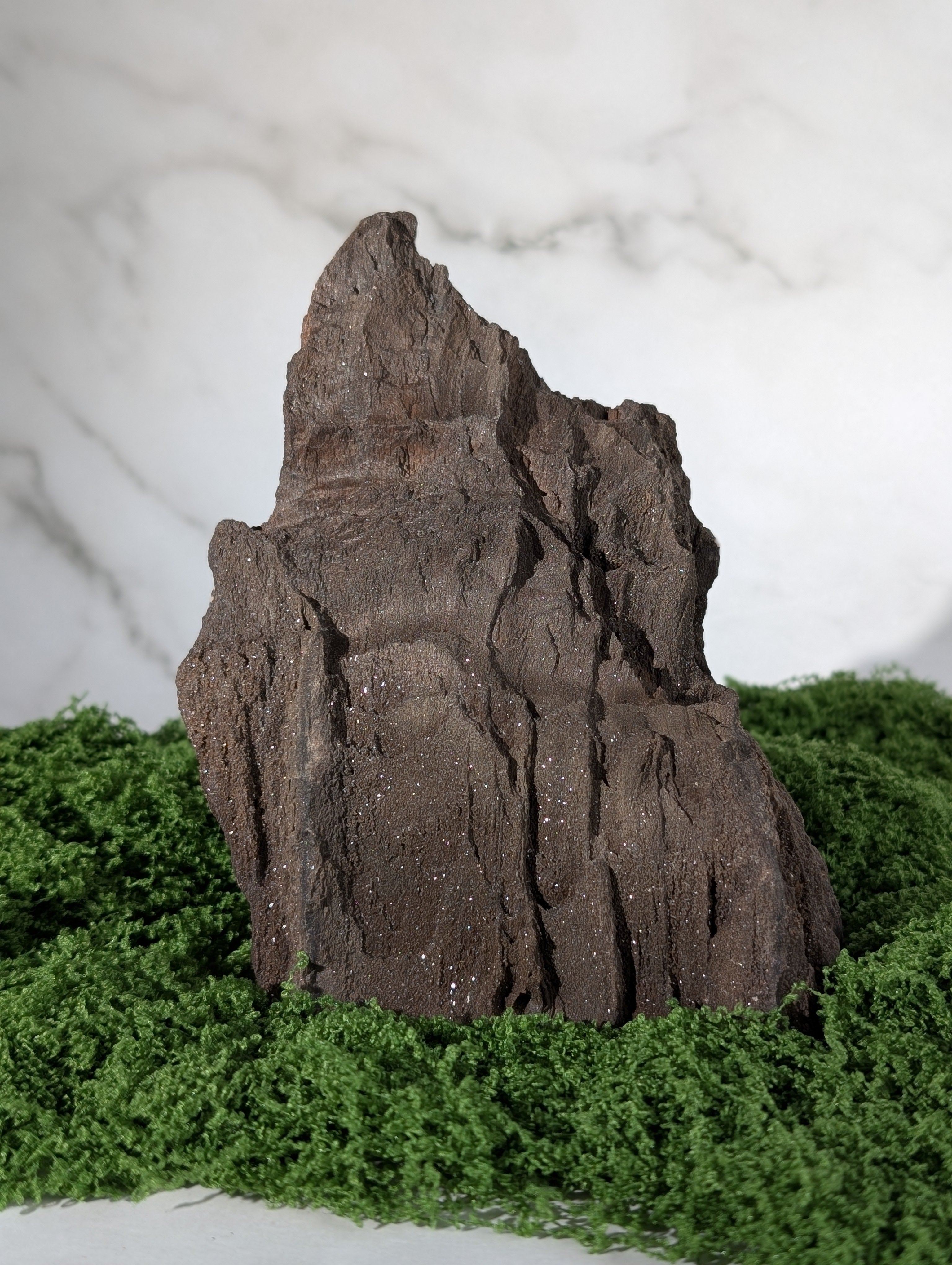 Fossiles Holz "Feenholz" 2