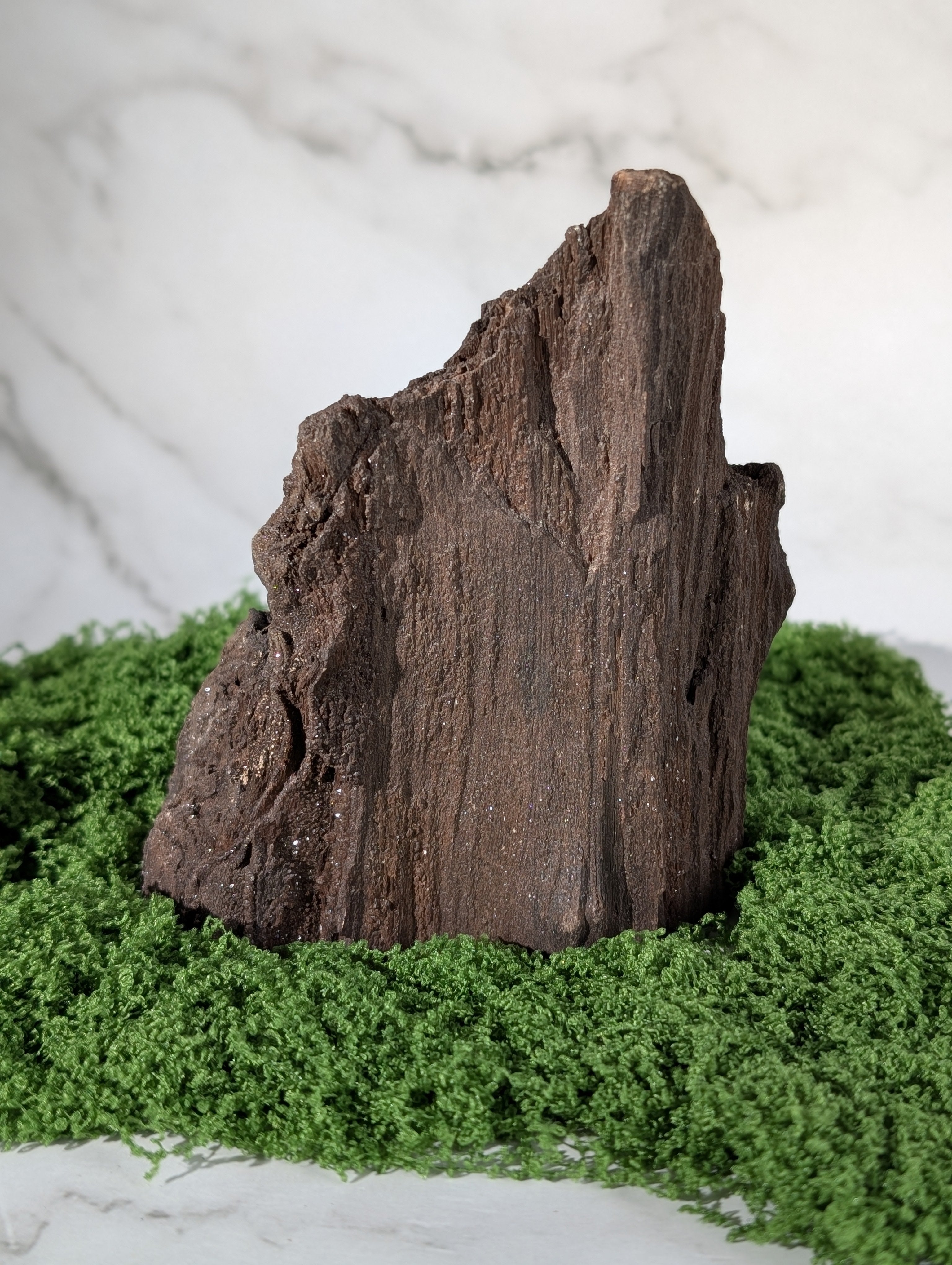 Fossiles Holz "Feenholz" 2