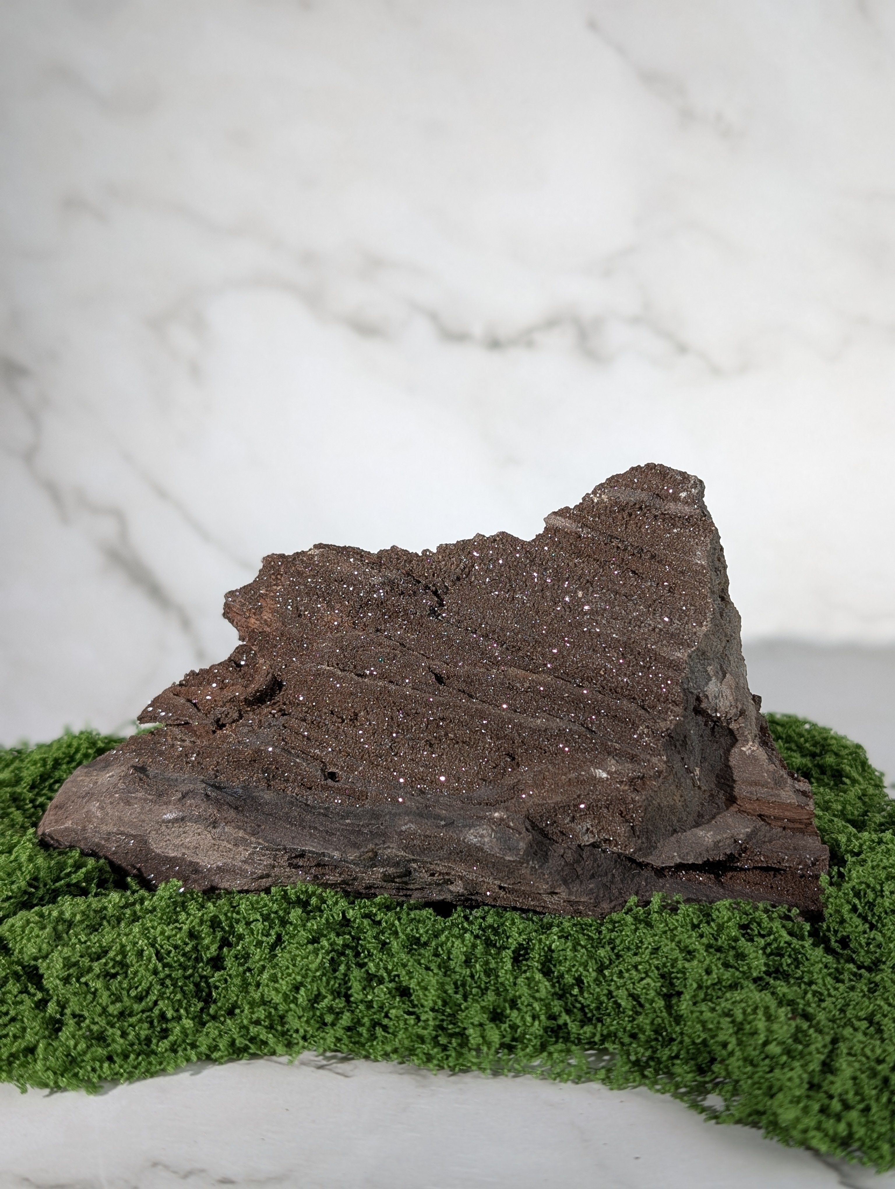 Fossiles Holz "Feenholz" 5