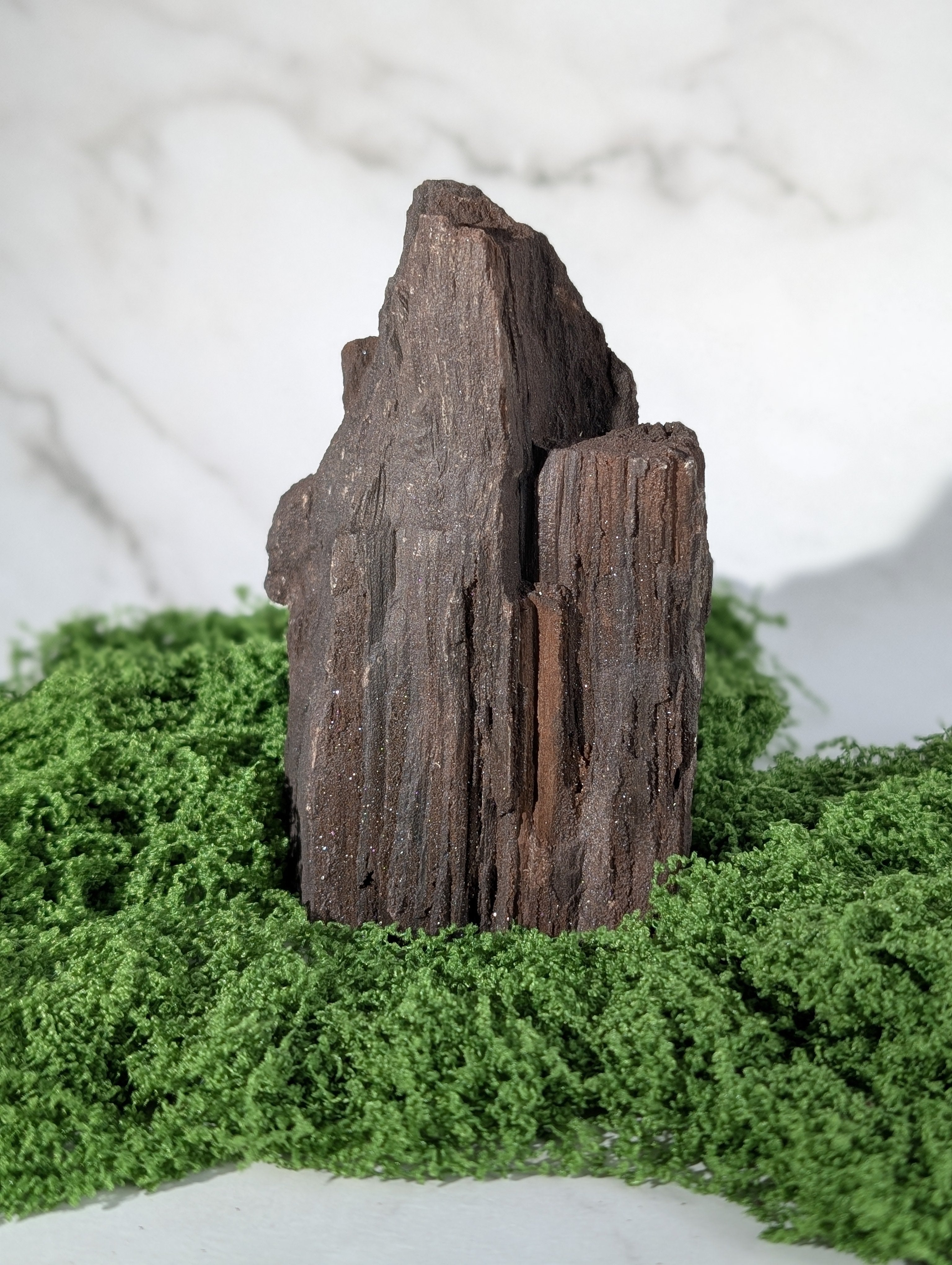 Fossiles Holz "Feenholz" 10