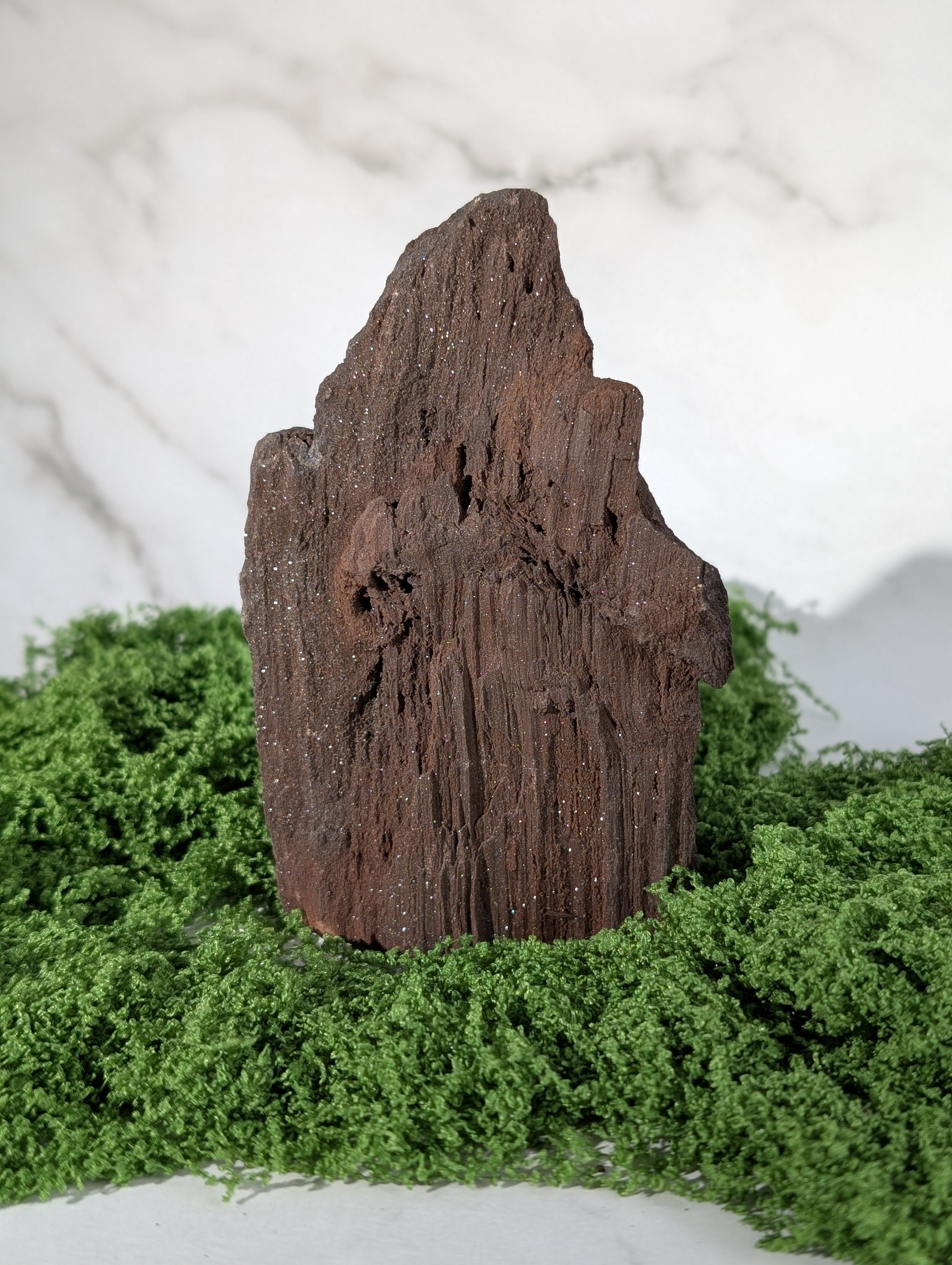 Fossiles Holz "Feenholz" 10
