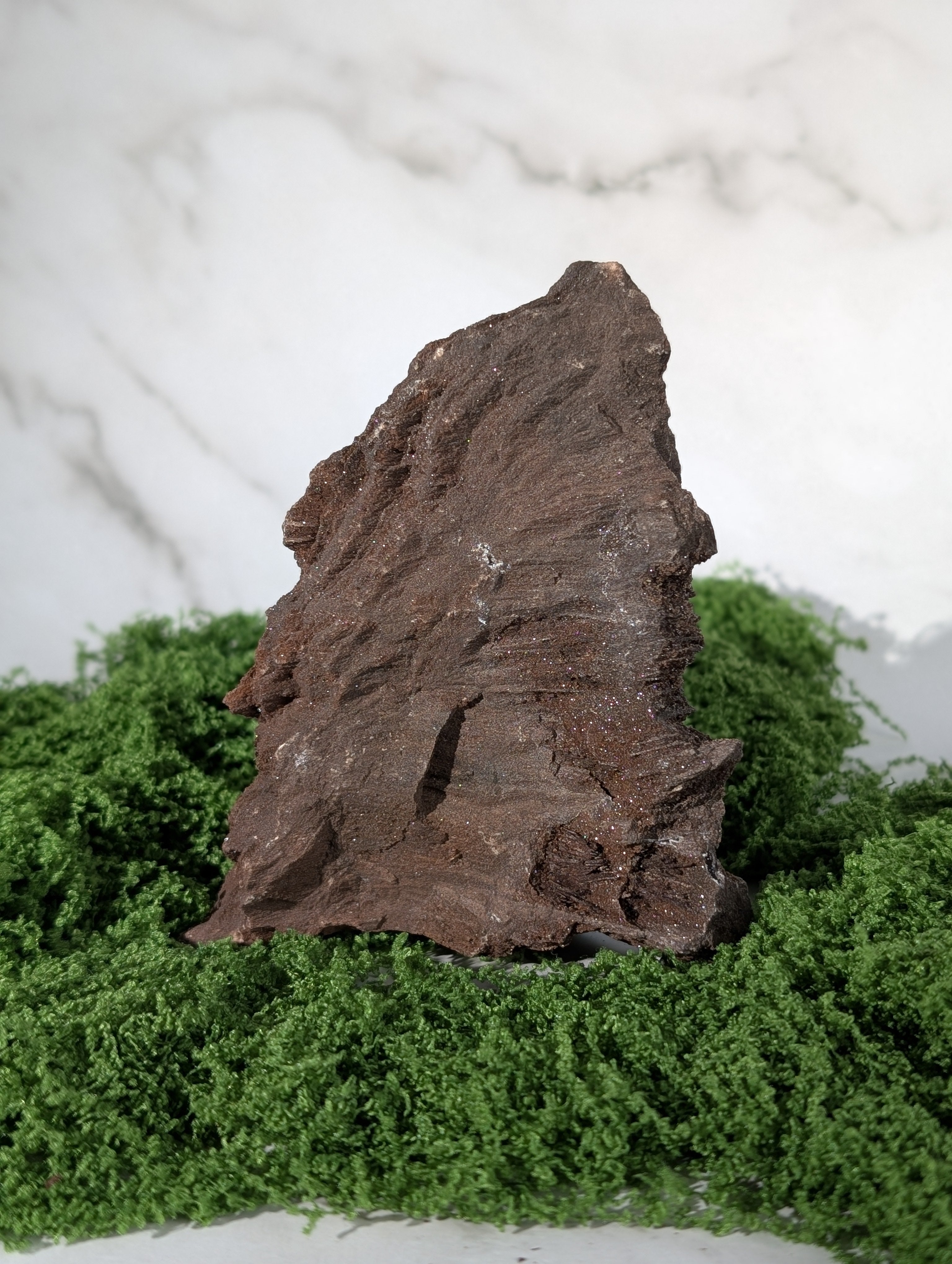 Fossiles Holz "Feenholz" 4