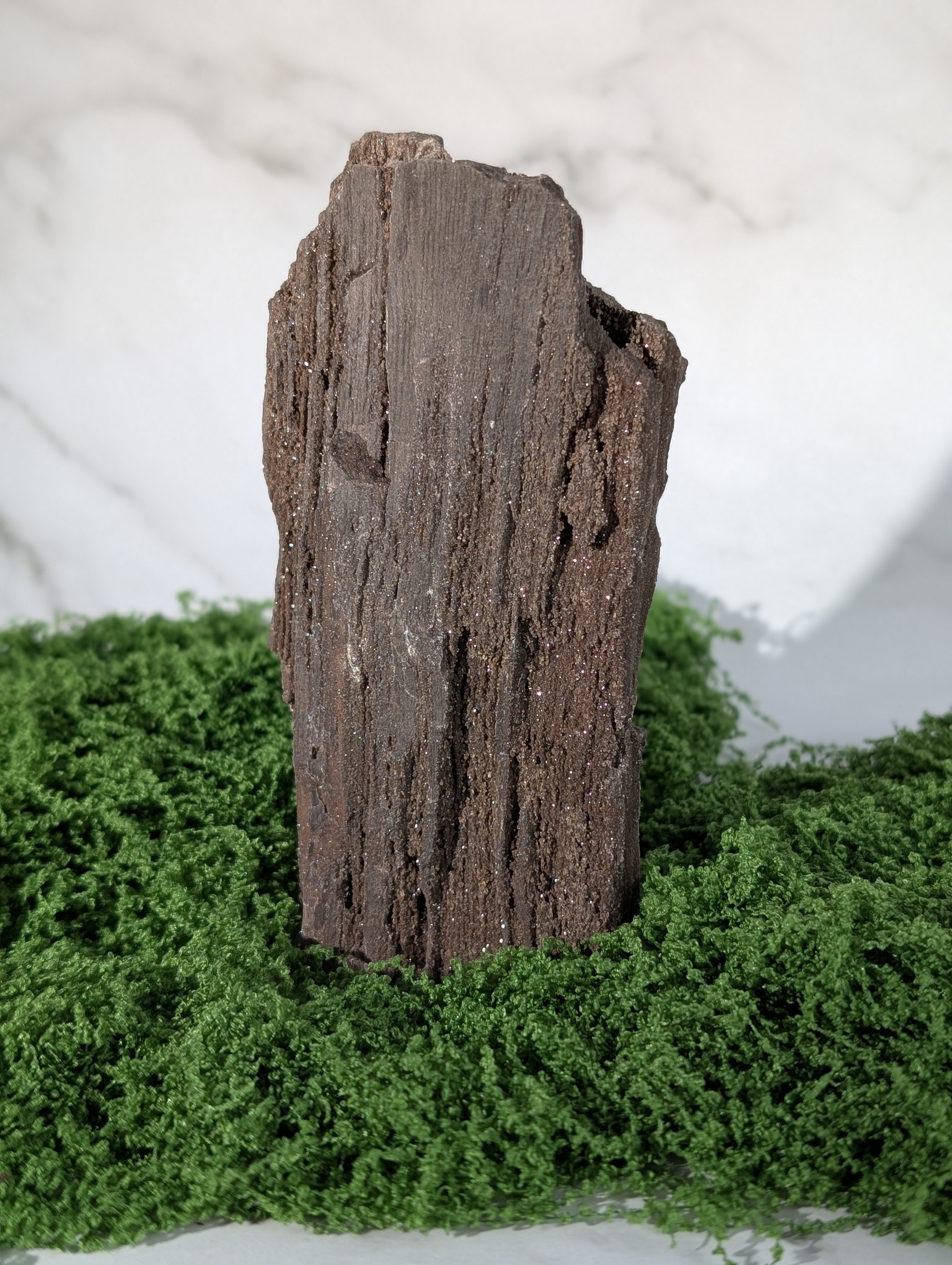 Fossiles Holz "Feenholz" 6