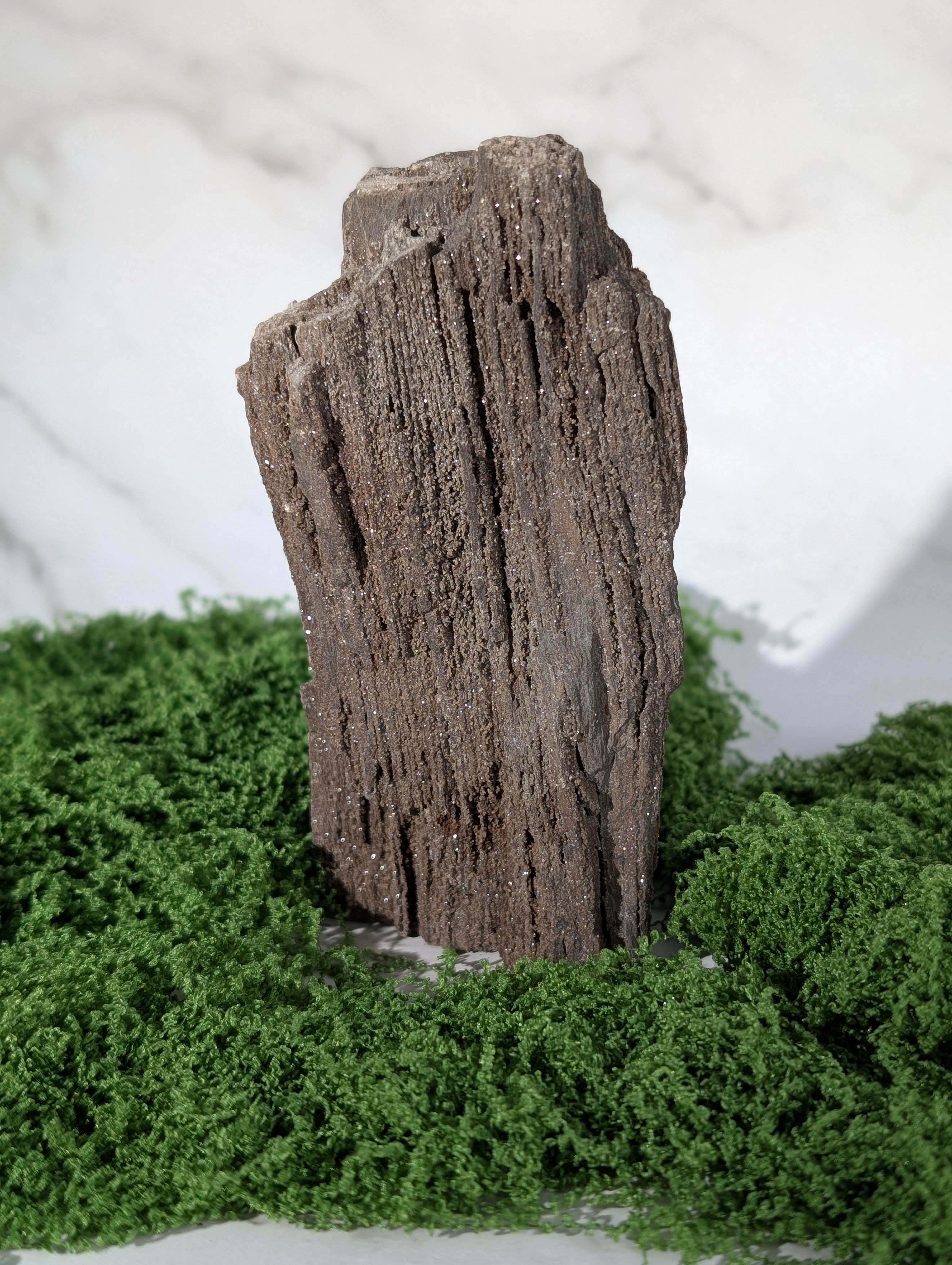 Fossiles Holz "Feenholz" 6