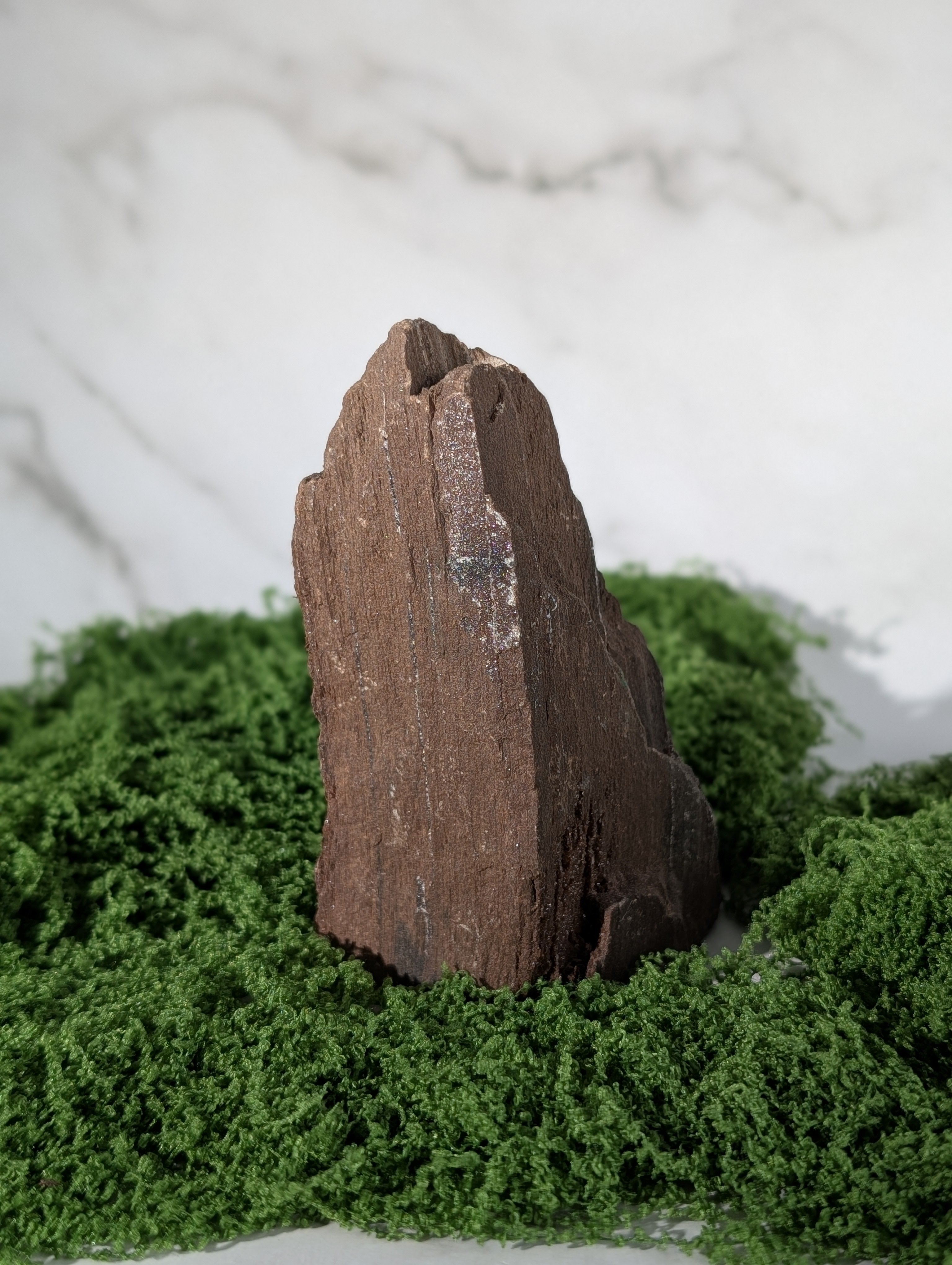Fossiles Holz "Feenholz" 7