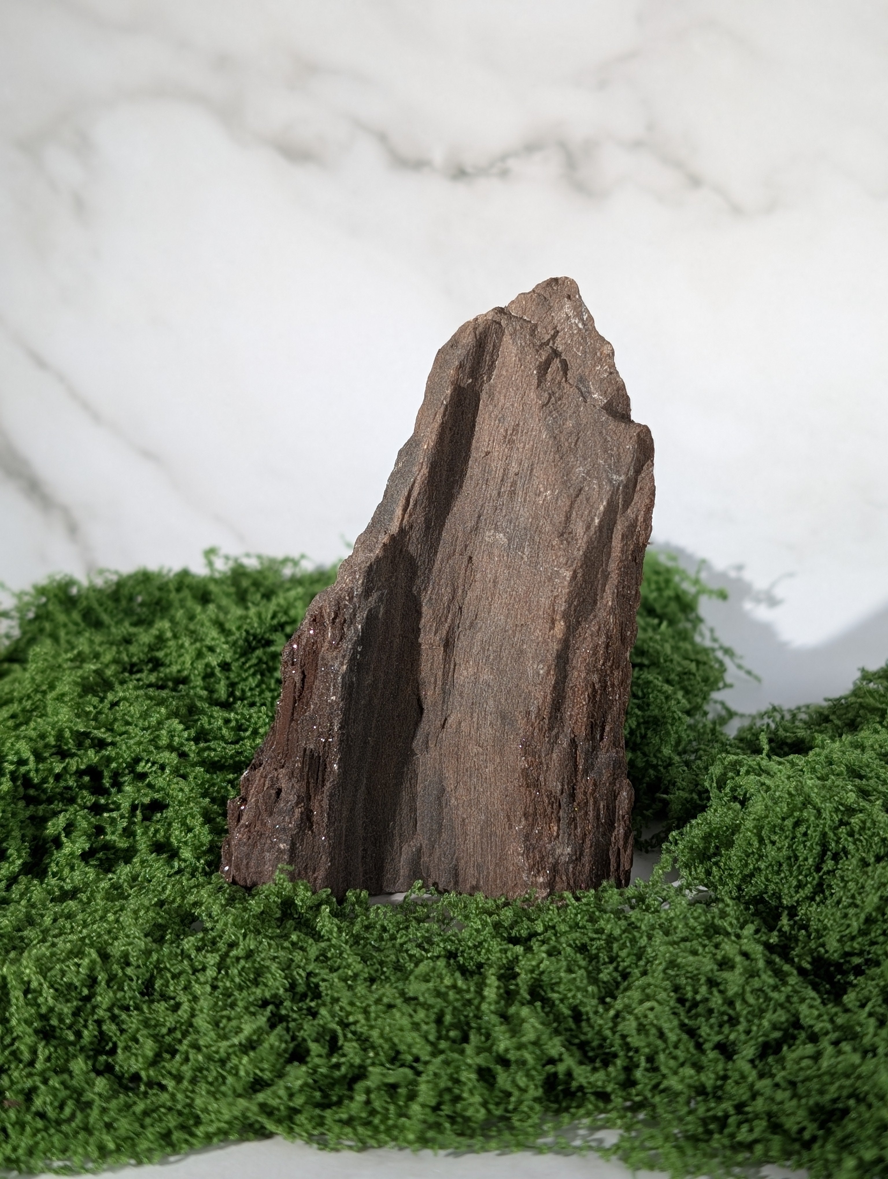 Fossiles Holz "Feenholz" 7