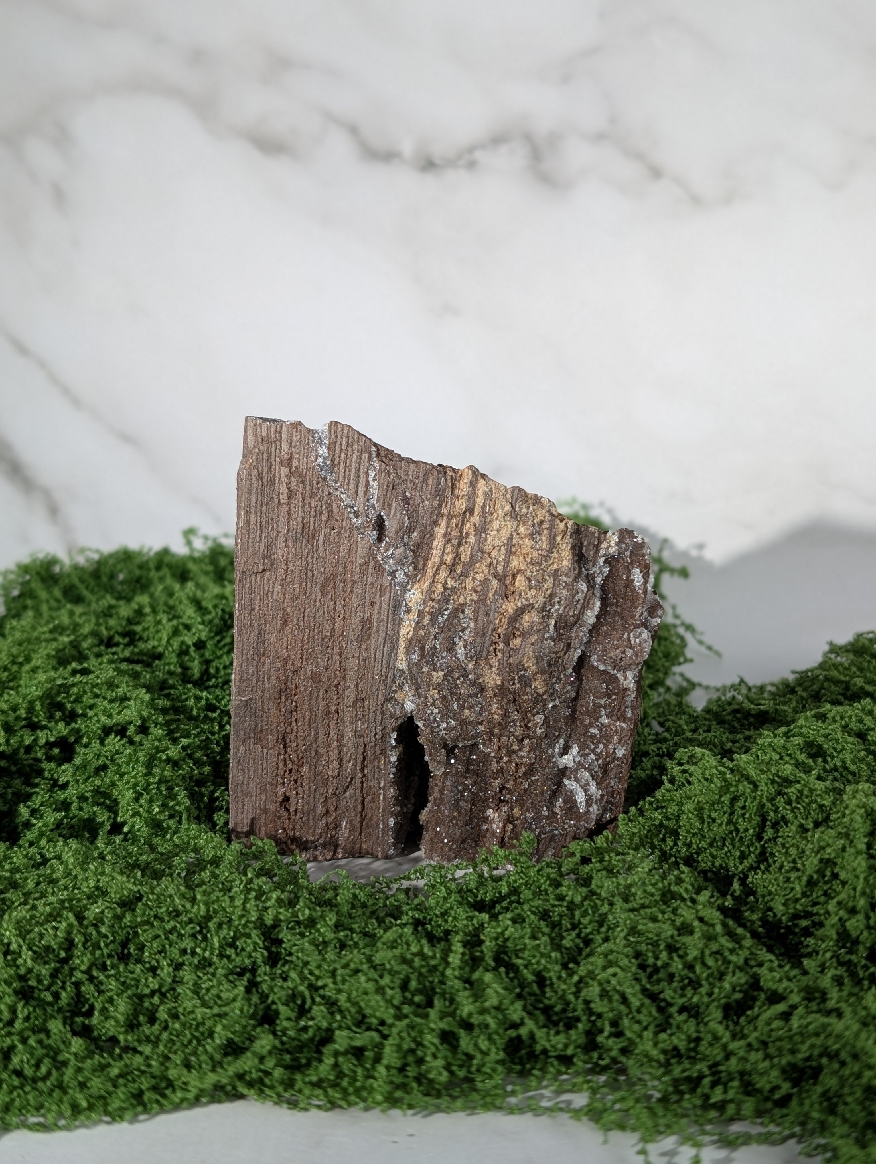 Fossiles Holz "Feenholz" 12
