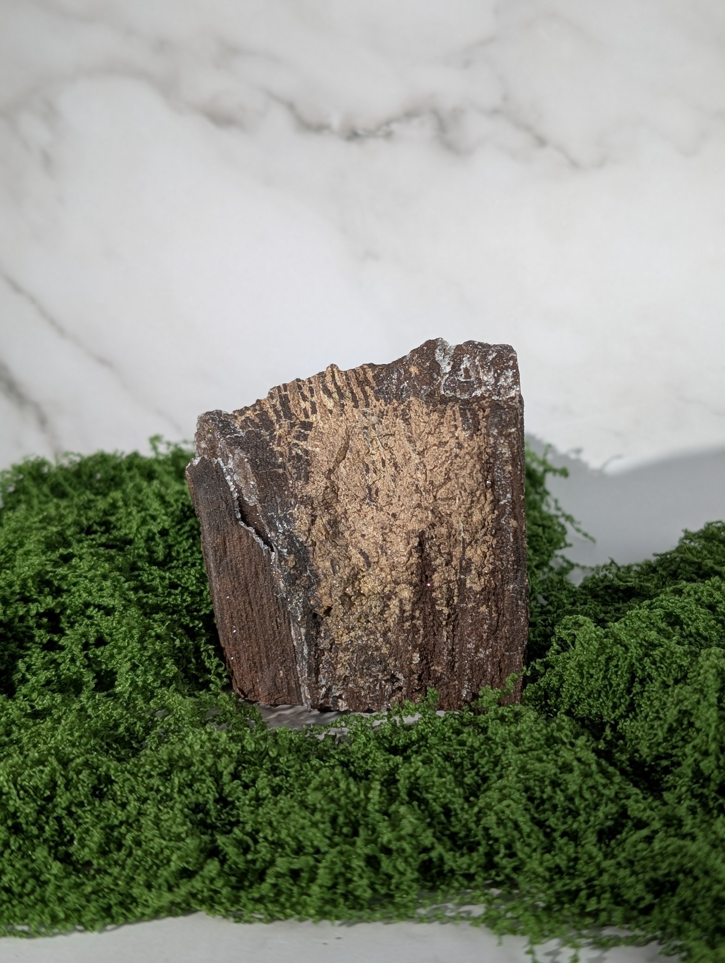 Fossiles Holz "Feenholz" 12