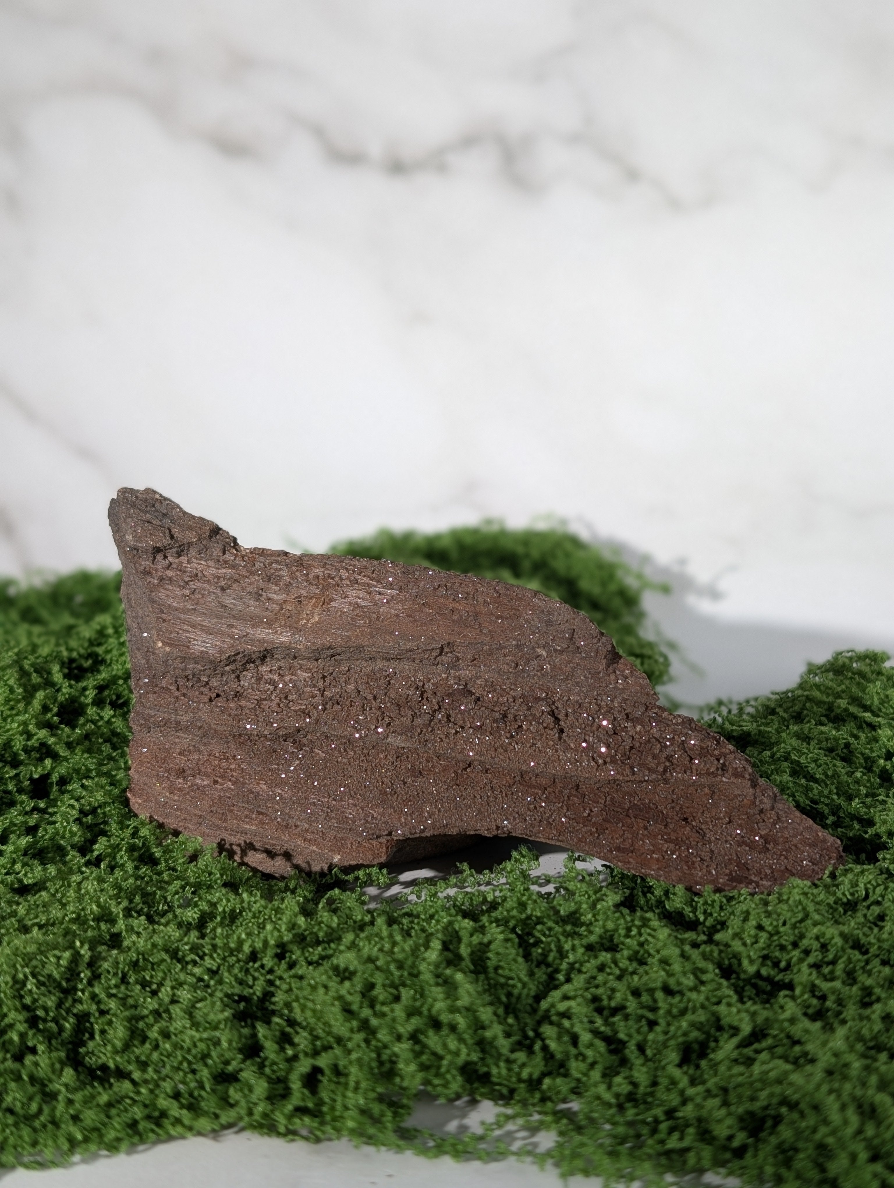 Fossiles Holz "Feenholz" 1