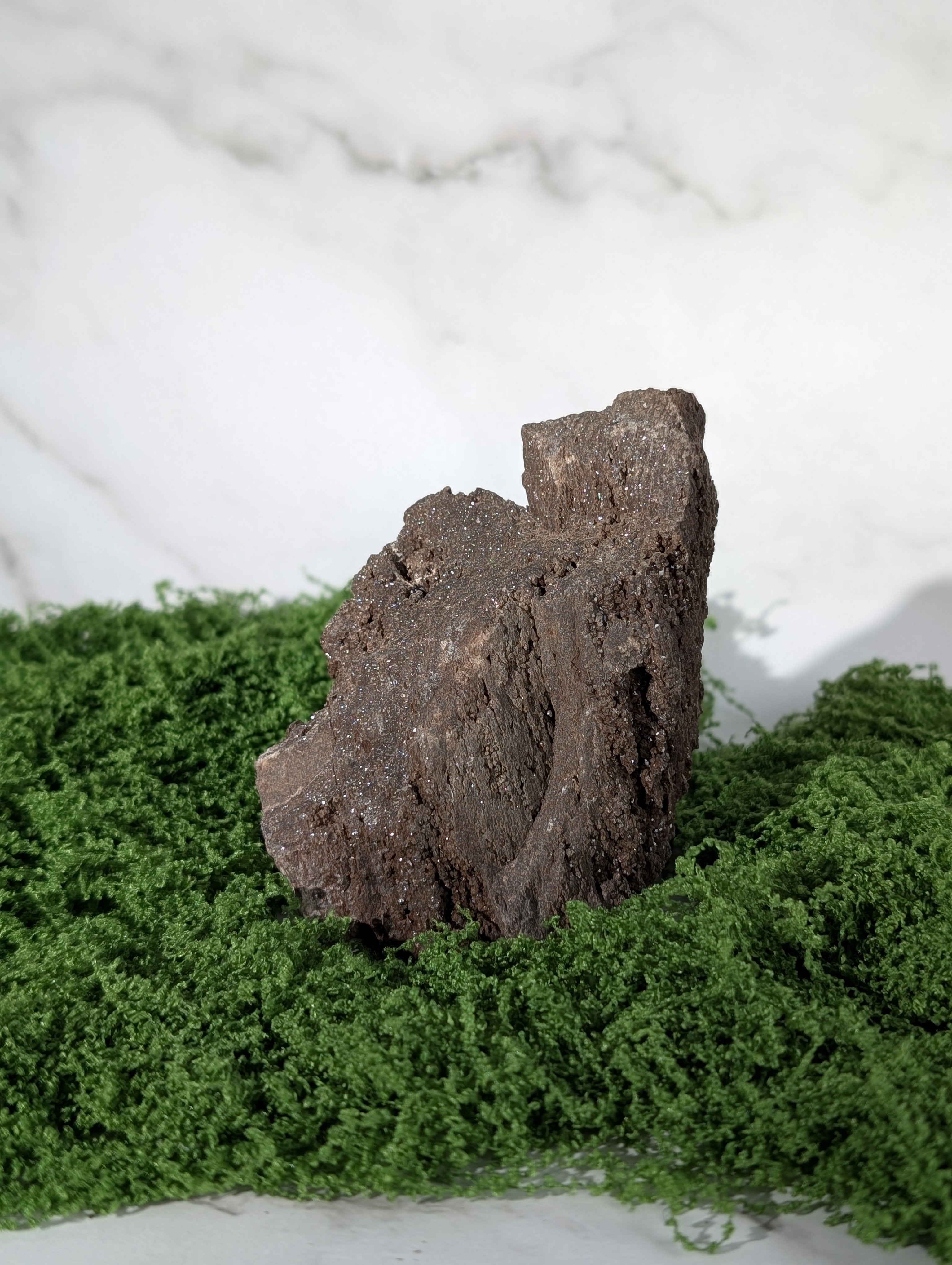 Fossiles Holz "Feenholz" 23