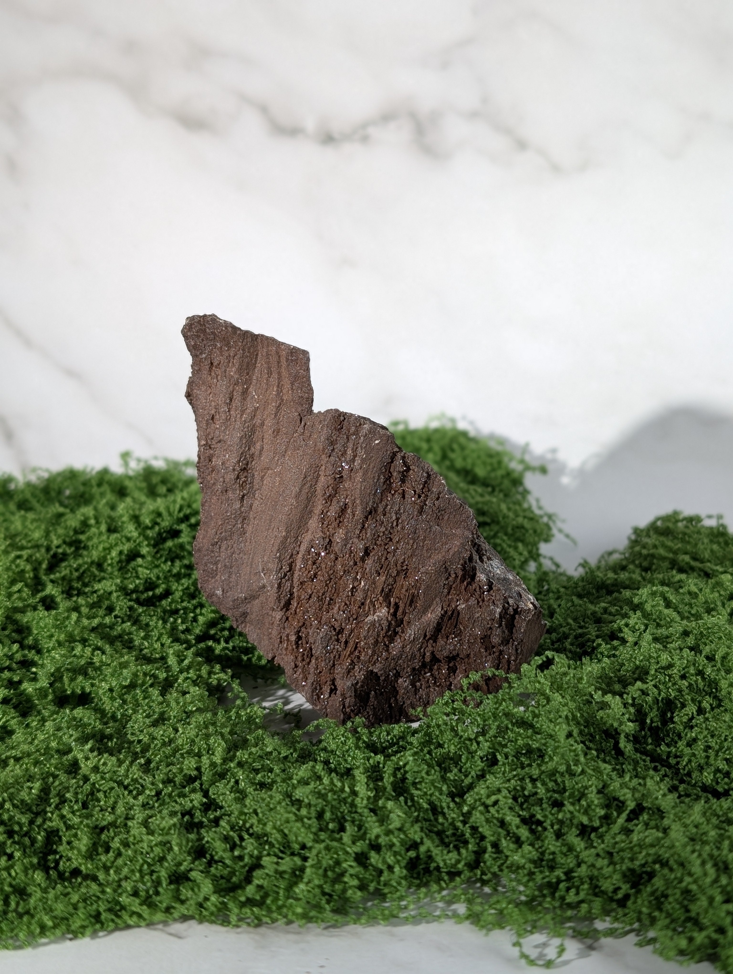 Fossiles Holz "Feenholz" 23