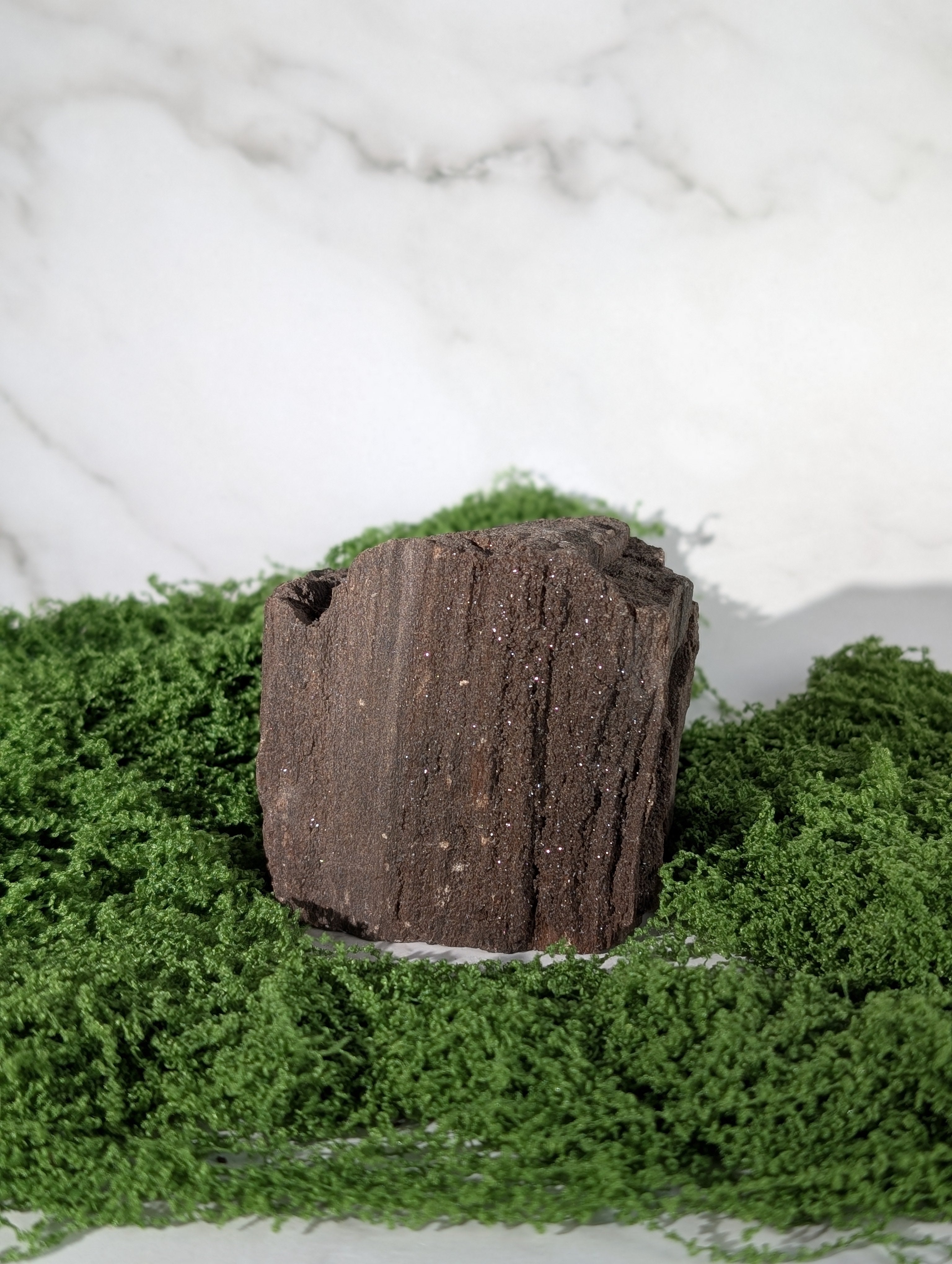 Fossiles Holz "Feenholz" 11
