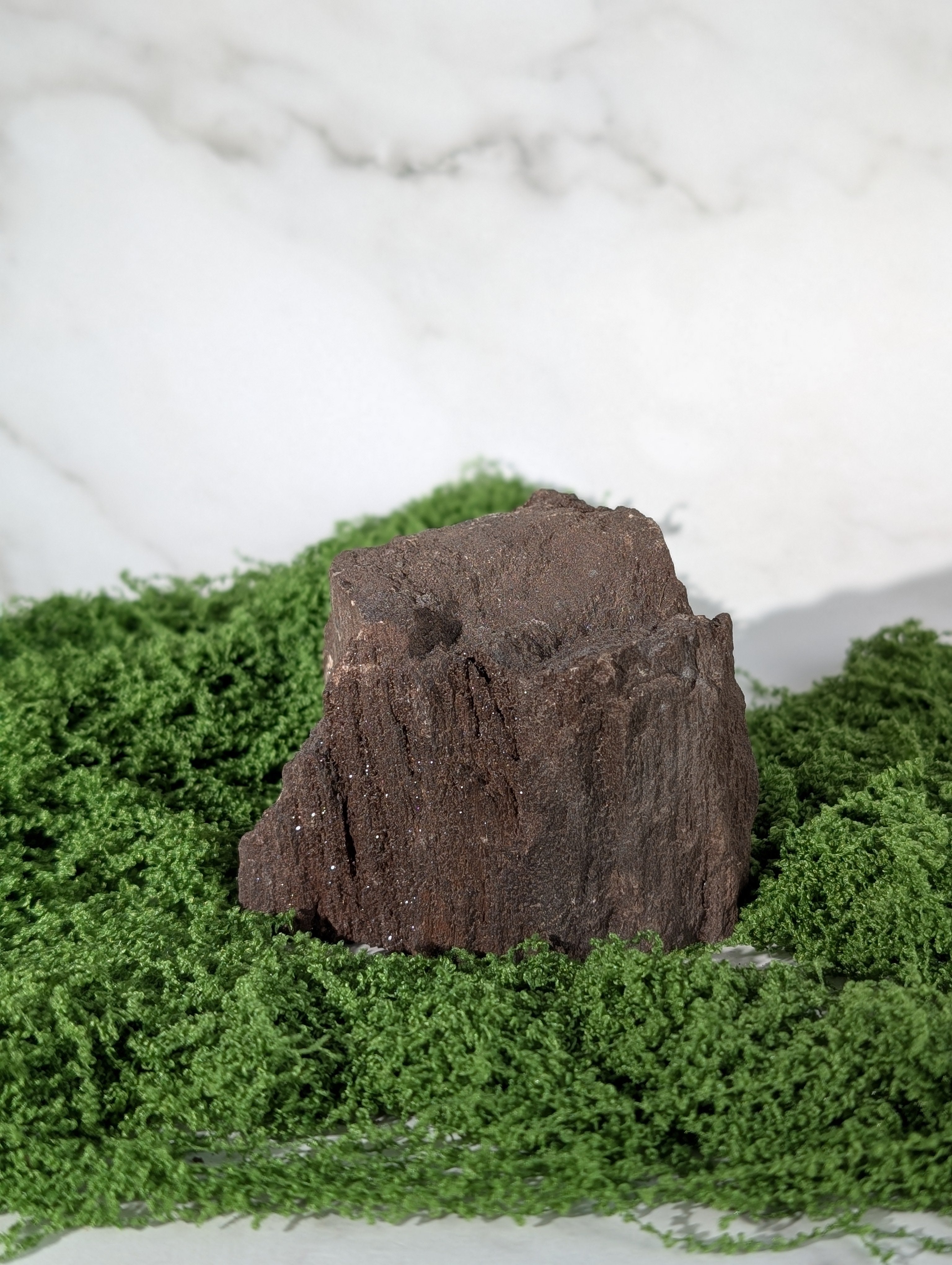 Fossiles Holz "Feenholz" 11